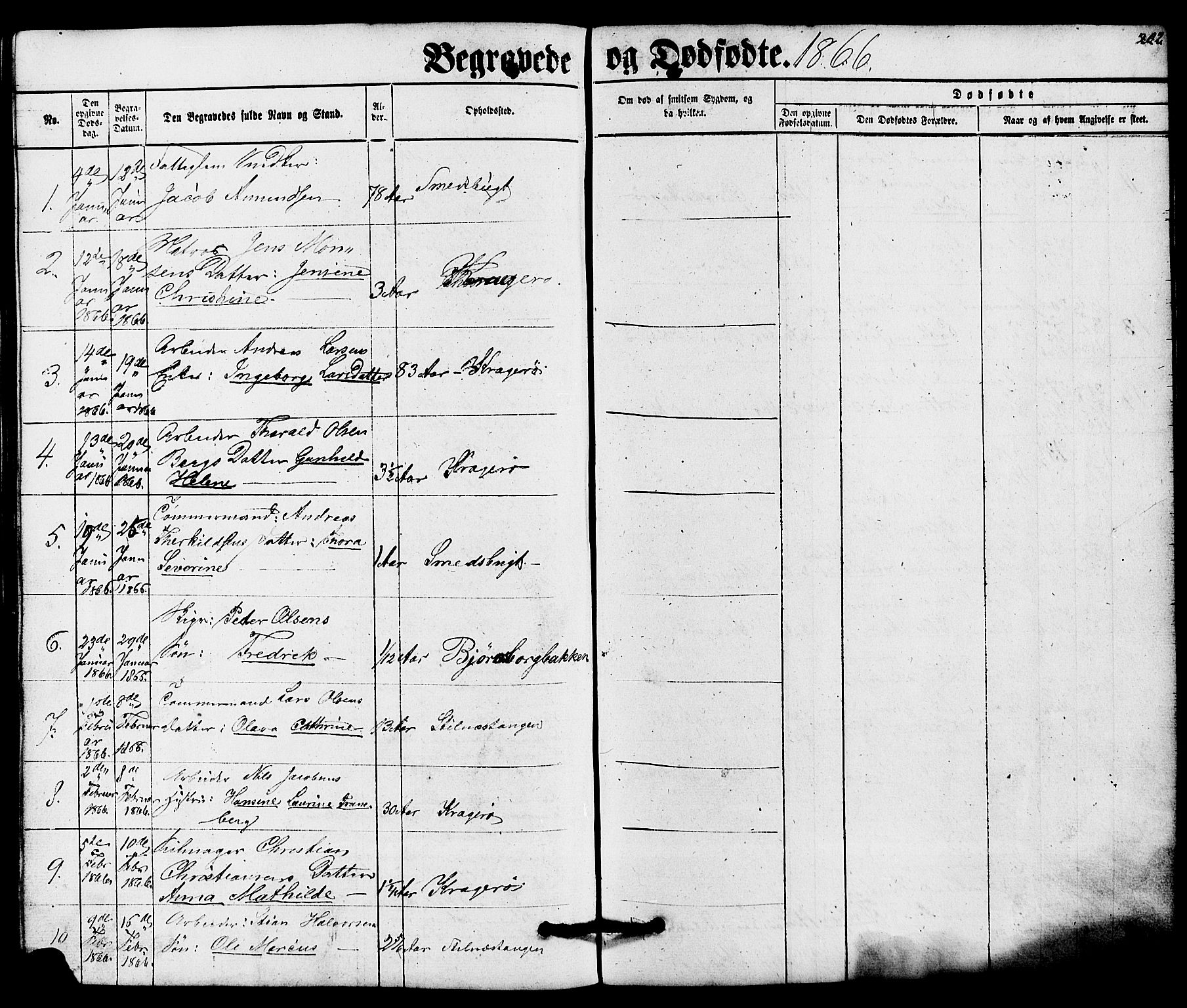 Kragerø kirkebøker, SAKO/A-278/G/Ga/L0005: Parish register (copy) no. 5, 1865-1881, p. 202