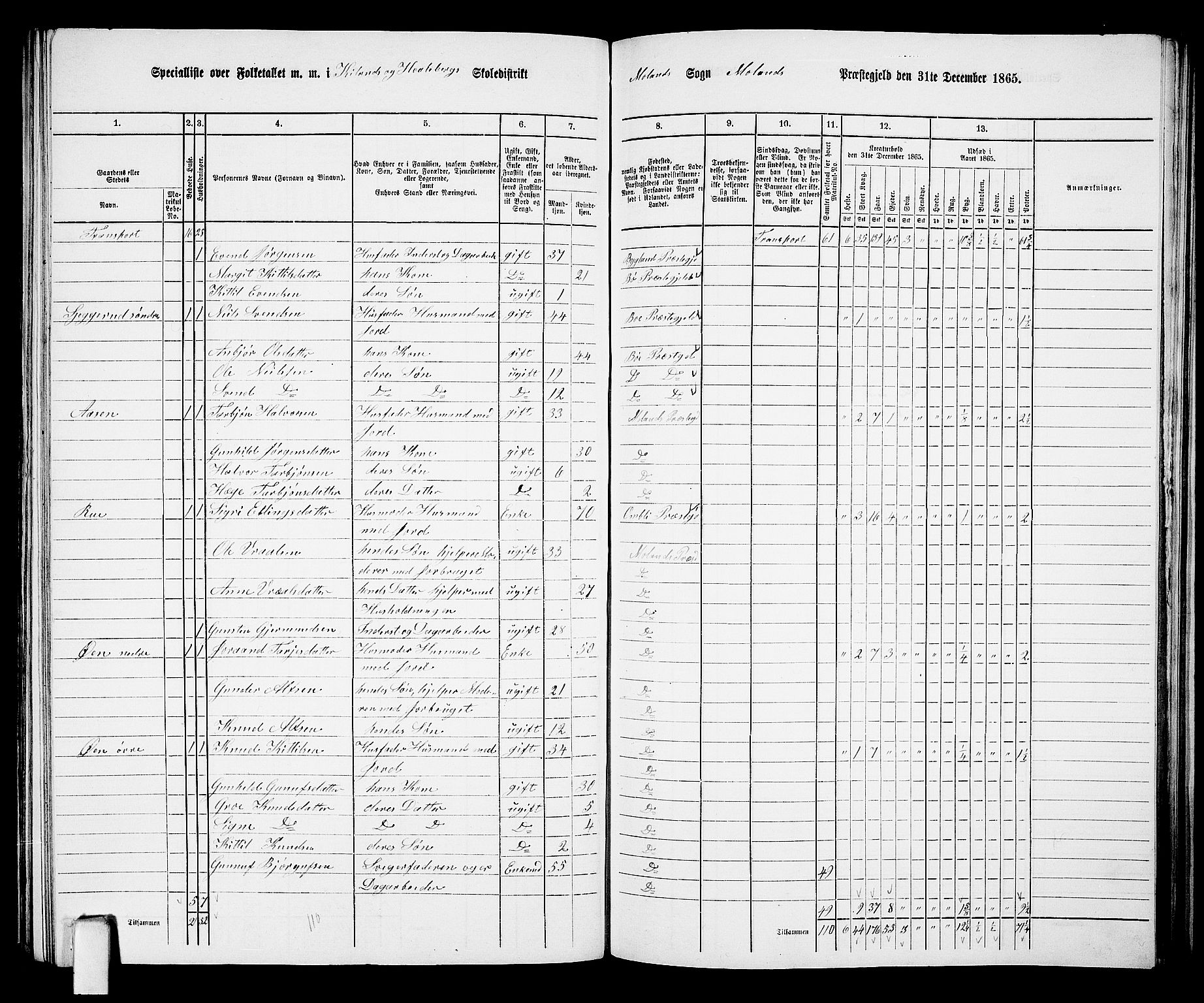 RA, 1865 census for Moland, 1865, p. 30