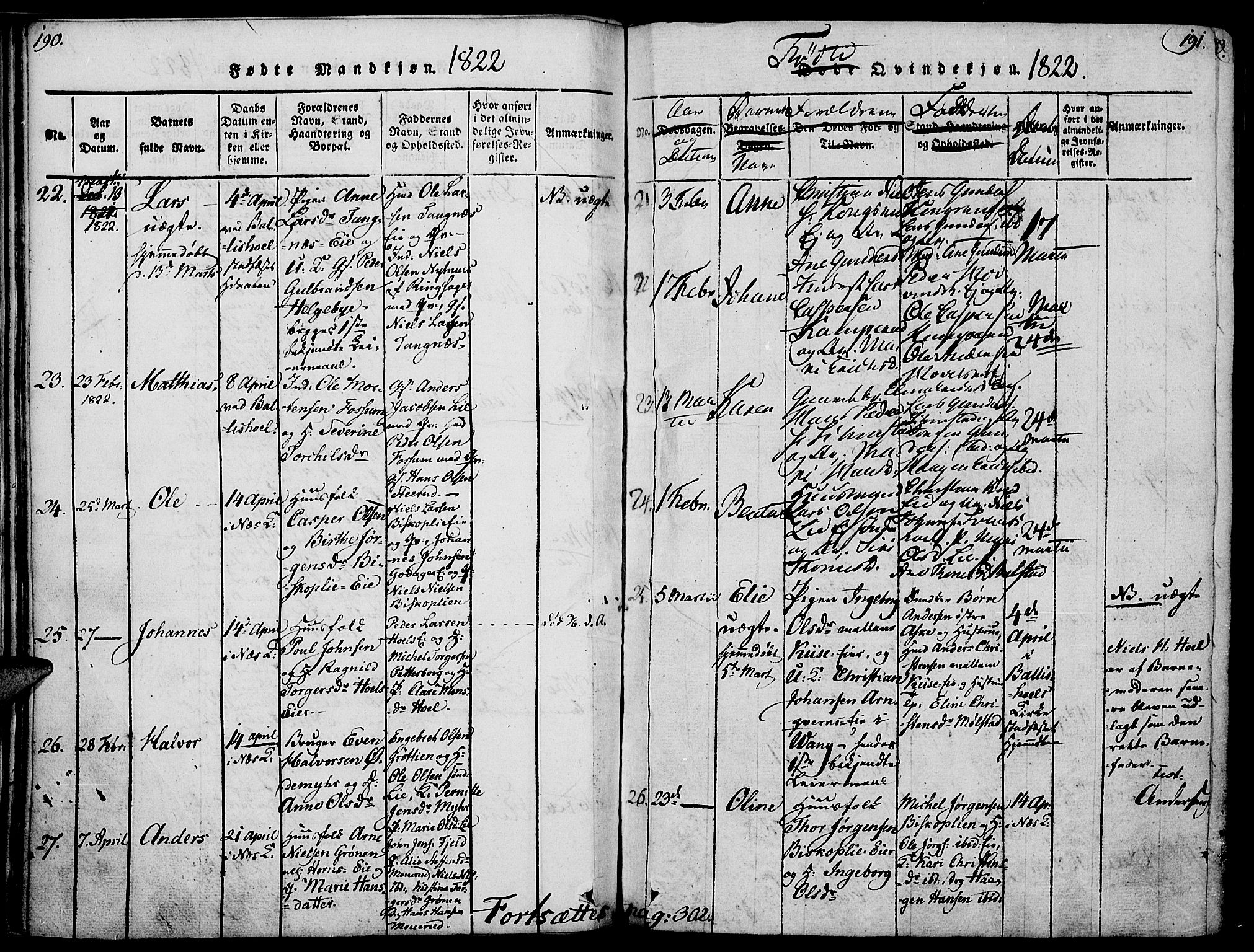 Nes prestekontor, Hedmark, AV/SAH-PREST-020/K/Ka/L0002: Parish register (official) no. 2, 1813-1827, p. 190-191