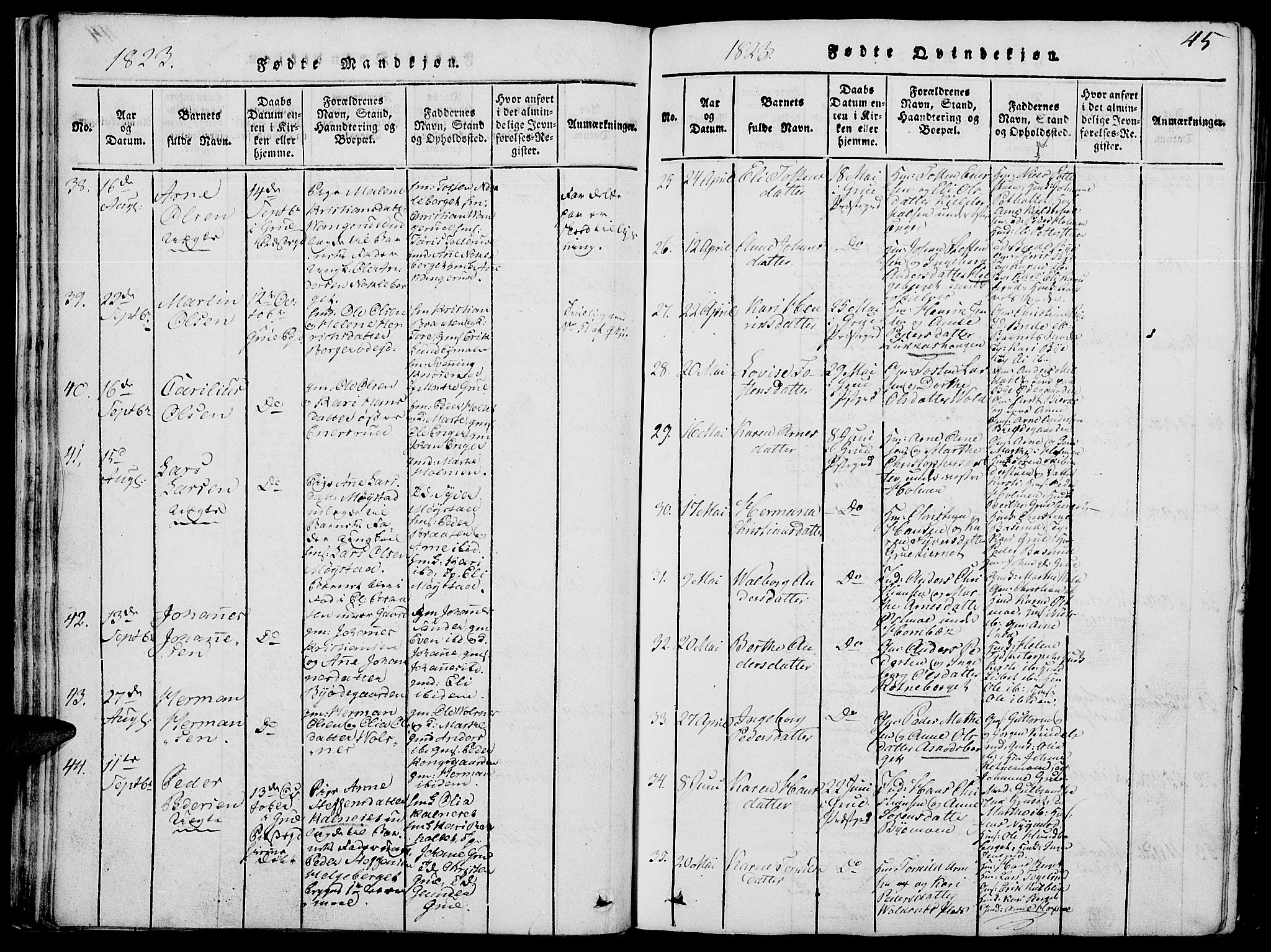 Grue prestekontor, AV/SAH-PREST-036/H/Ha/Hab/L0002: Parish register (copy) no. 2, 1815-1841, p. 45