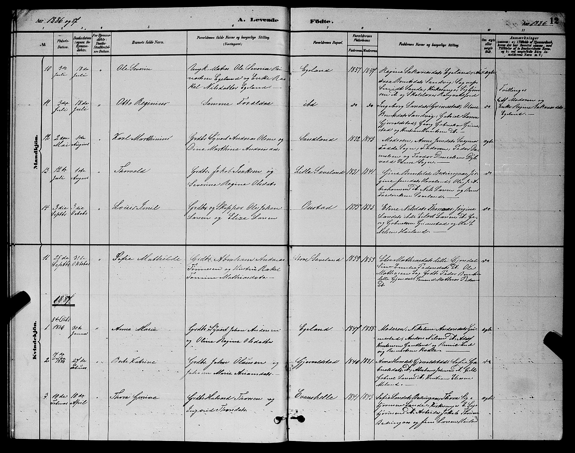 Herad sokneprestkontor, AV/SAK-1111-0018/F/Fb/Fba/L0004: Parish register (copy) no. B 4, 1882-1899, p. 12