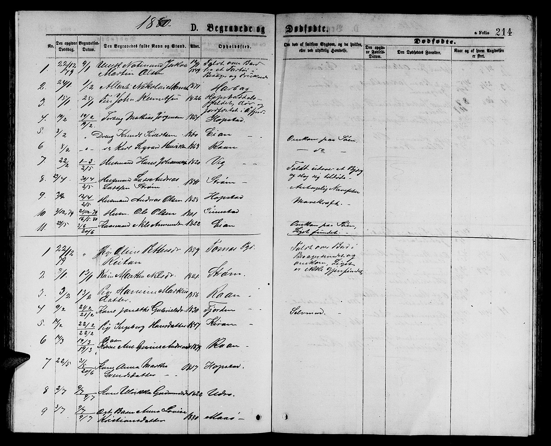 Ministerialprotokoller, klokkerbøker og fødselsregistre - Sør-Trøndelag, SAT/A-1456/657/L0715: Parish register (copy) no. 657C02, 1873-1888, p. 214