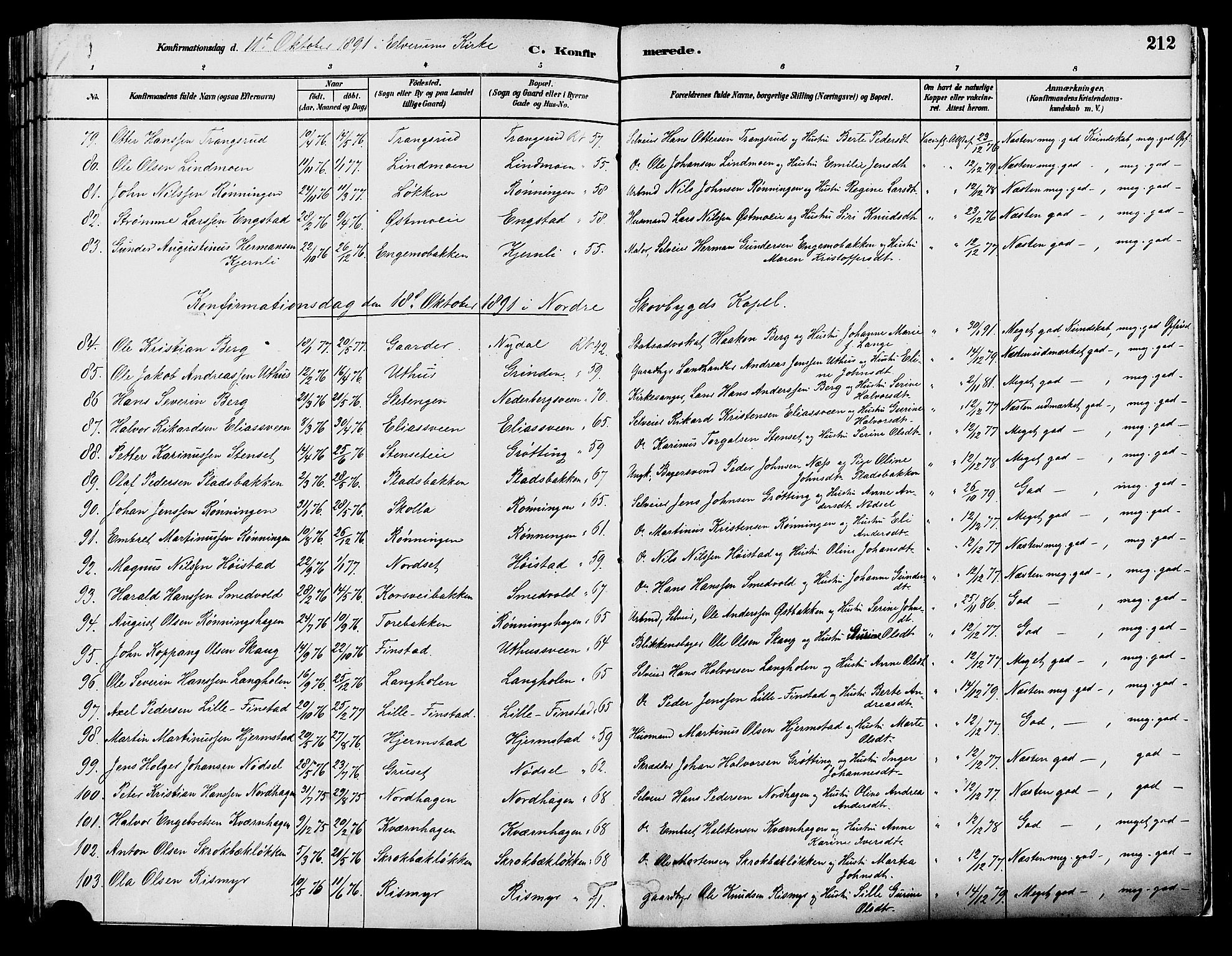 Elverum prestekontor, AV/SAH-PREST-044/H/Ha/Haa/L0013: Parish register (official) no. 13, 1880-1890, p. 212