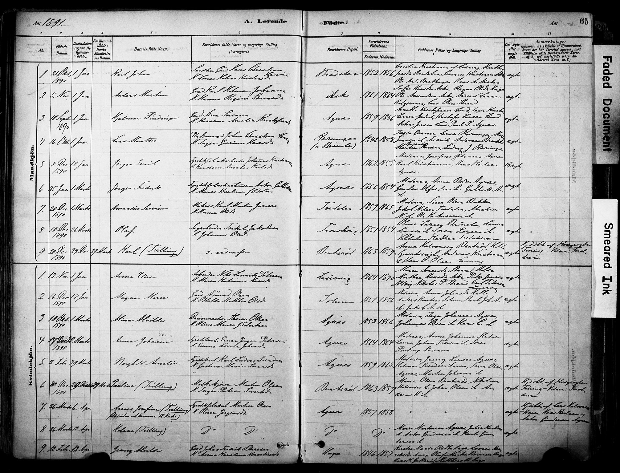 Brunlanes kirkebøker, AV/SAKO-A-342/F/Fc/L0001: Parish register (official) no. III 1, 1878-1899, p. 65