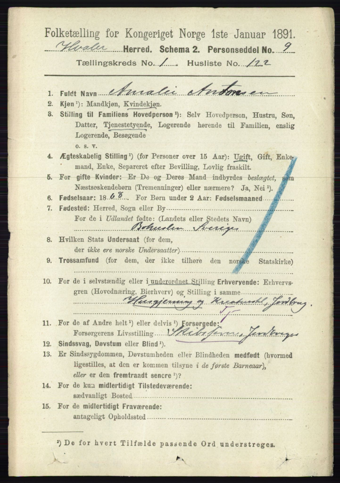 RA, 1891 census for 0111 Hvaler, 1891, p. 877