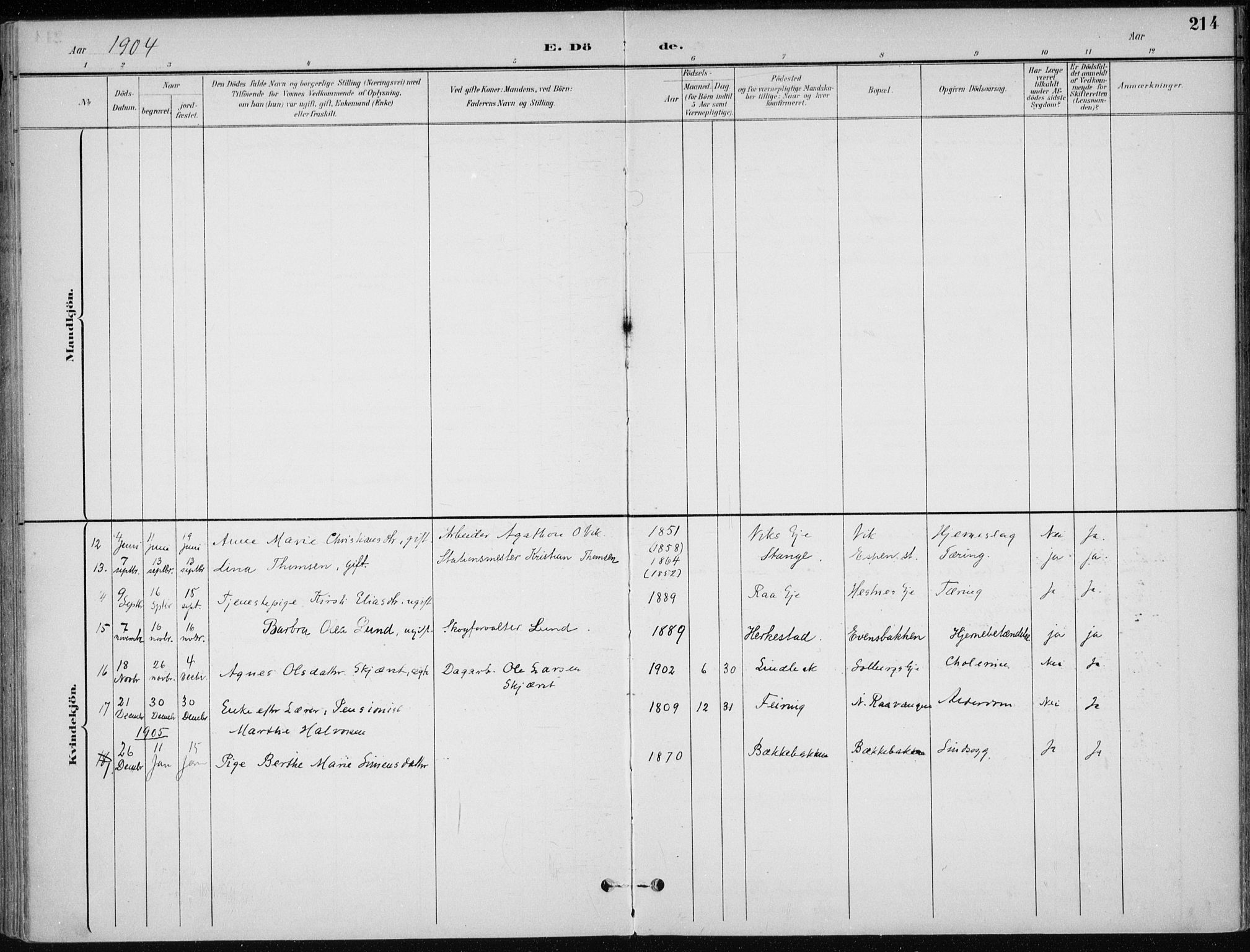Stange prestekontor, SAH/PREST-002/K/L0023: Parish register (official) no. 23, 1897-1920, p. 214