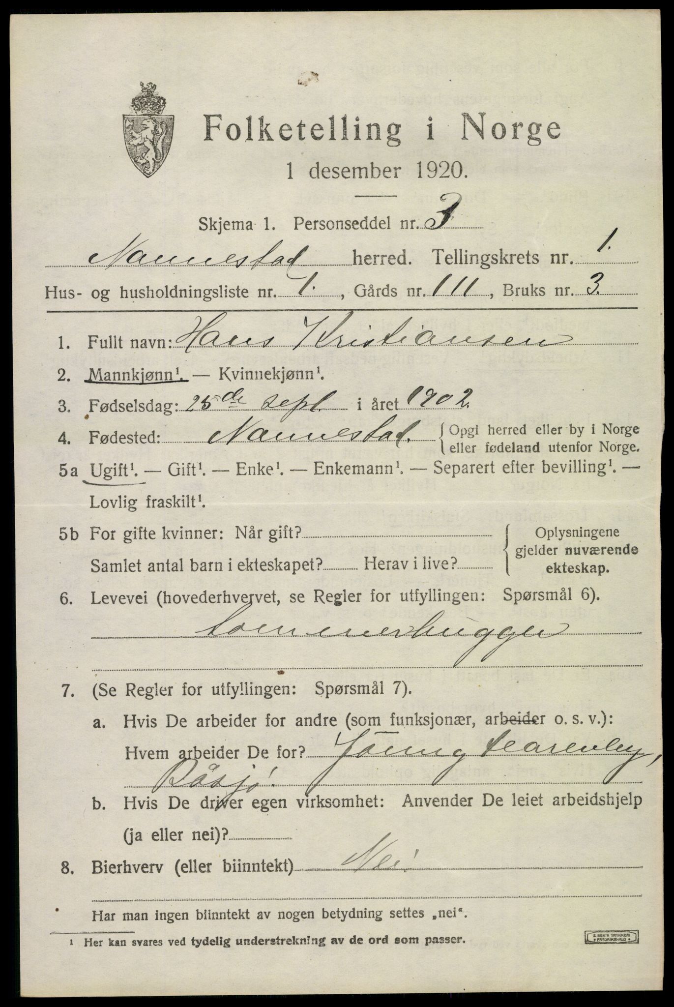SAO, 1920 census for Nannestad, 1920, p. 1619