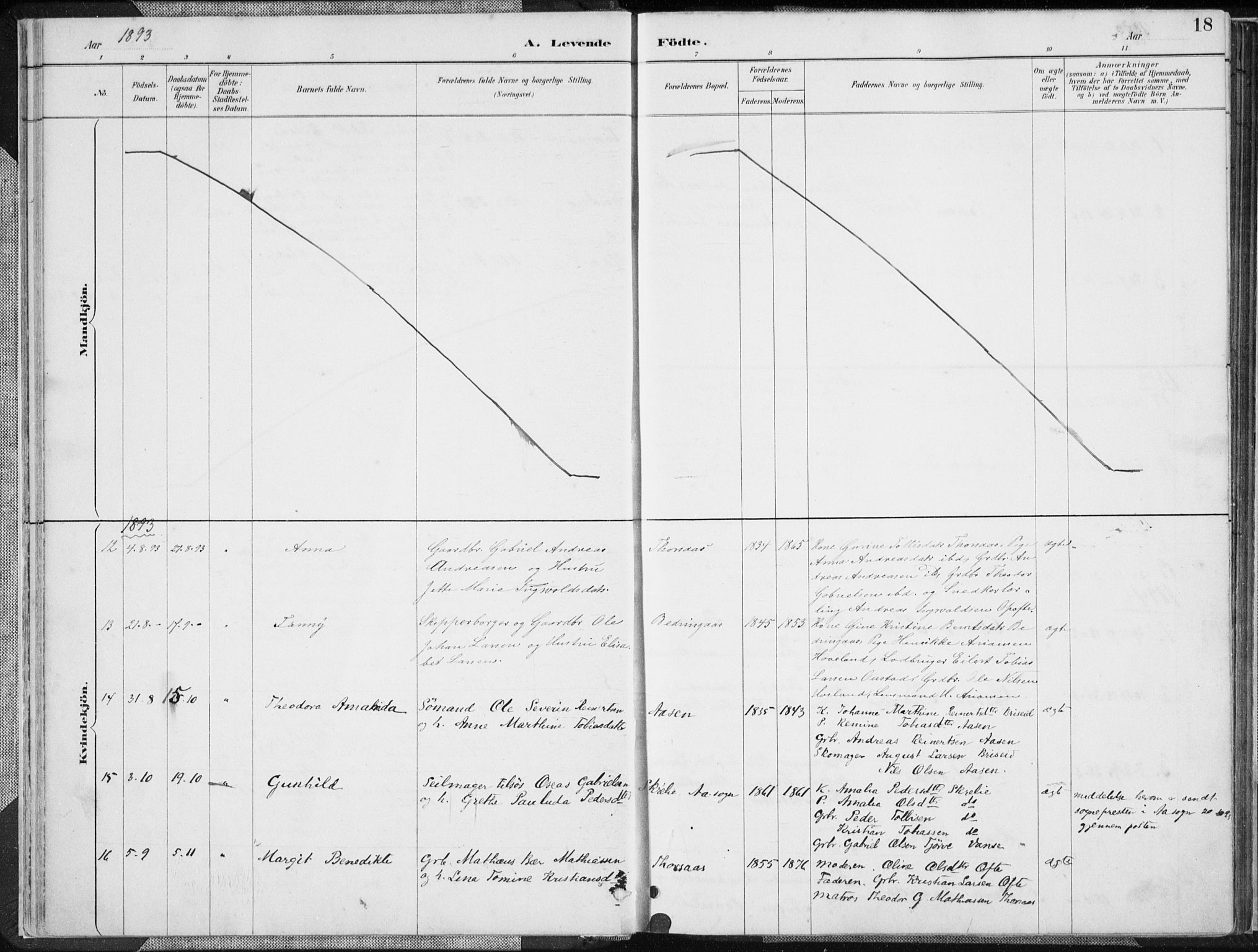 Herad sokneprestkontor, AV/SAK-1111-0018/F/Fa/Faa/L0006: Parish register (official) no. A 6, 1887-1907, p. 18