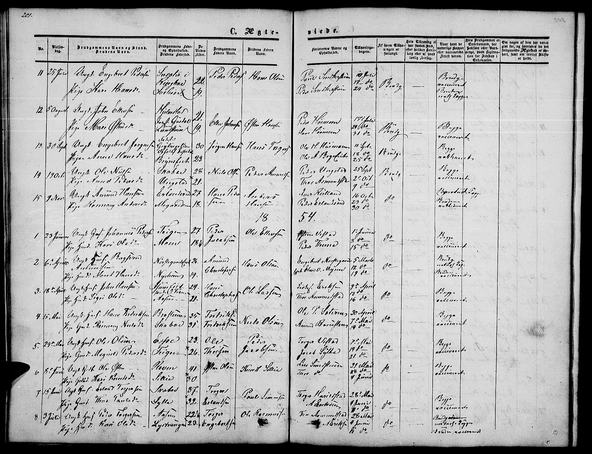 Nord-Fron prestekontor, SAH/PREST-080/H/Ha/Hab/L0002: Parish register (copy) no. 2, 1851-1883, p. 201