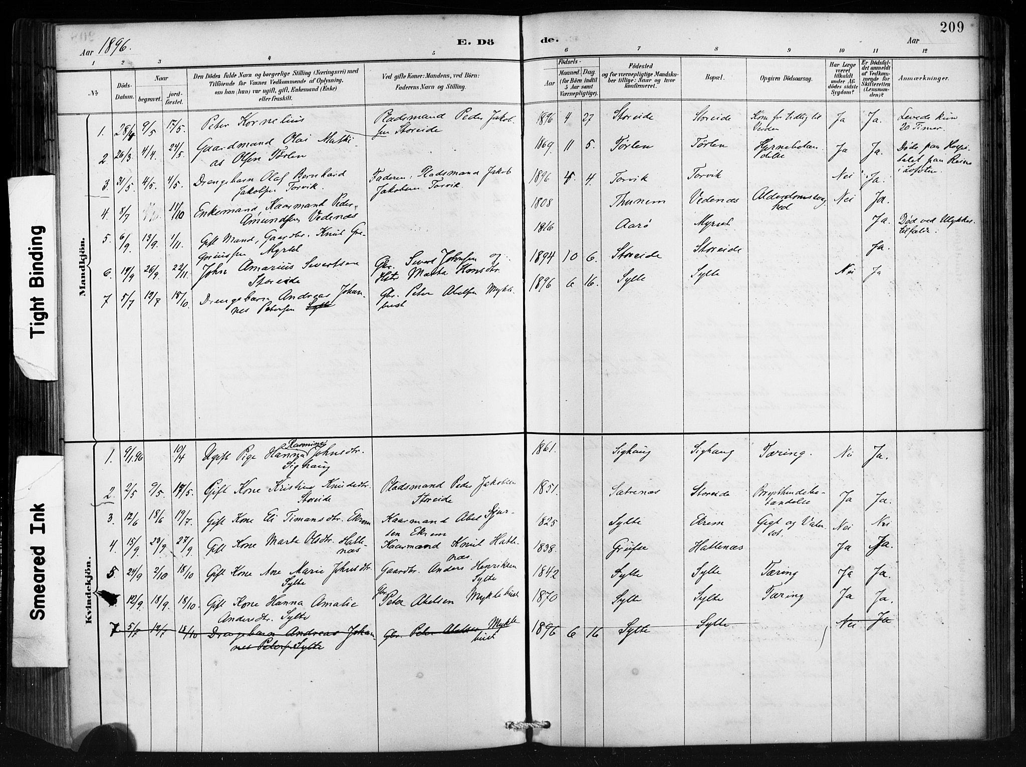 Ministerialprotokoller, klokkerbøker og fødselsregistre - Møre og Romsdal, AV/SAT-A-1454/501/L0008: Parish register (official) no. 501A08, 1885-1901, p. 209