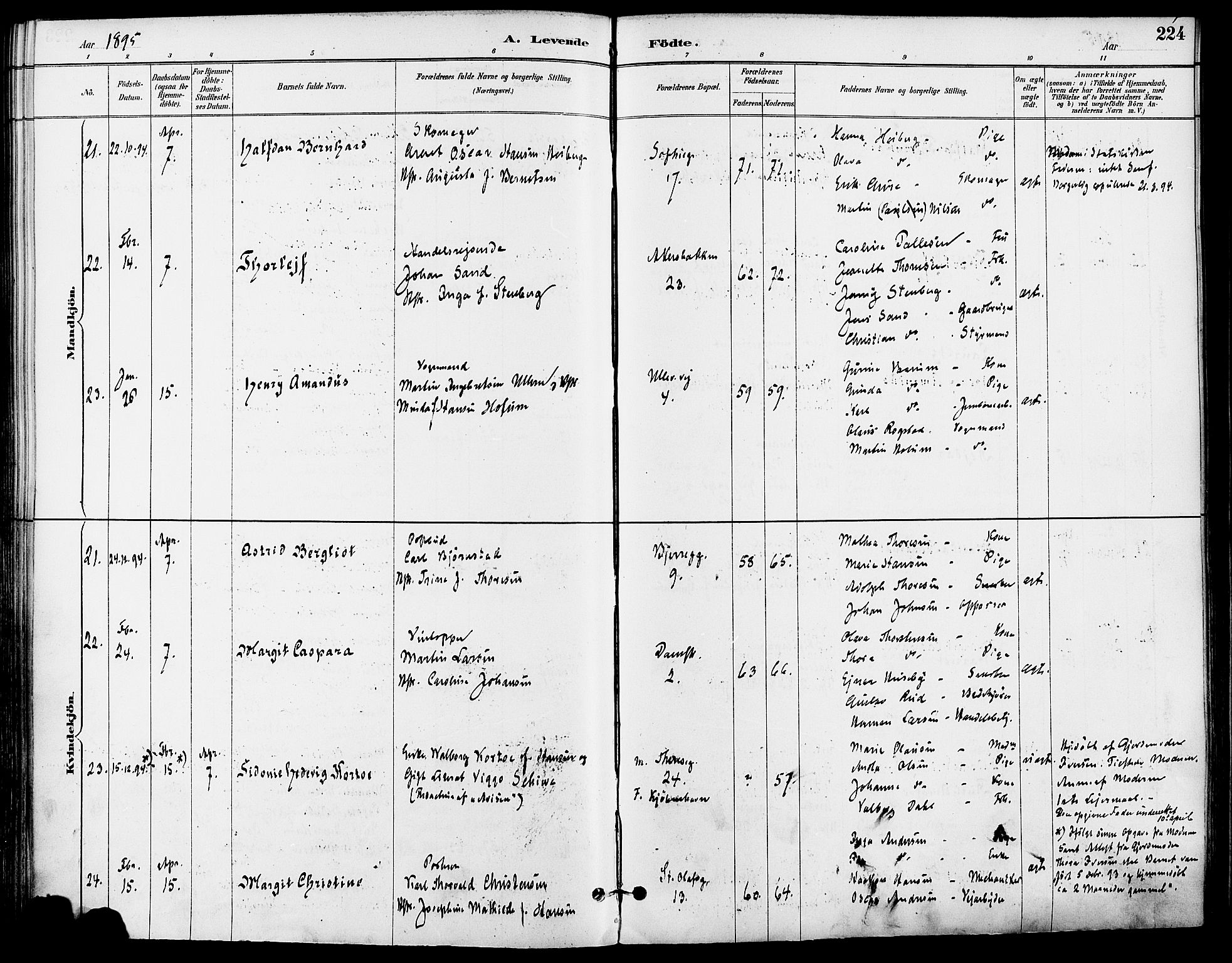 Gamle Aker prestekontor Kirkebøker, AV/SAO-A-10617a/F/L0008: Parish register (official) no. 8, 1887-1896, p. 224