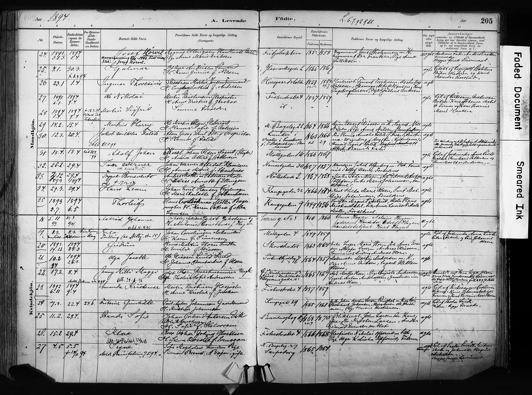 Larvik kirkebøker, AV/SAKO-A-352/F/Fa/L0009: Parish register (official) no. I 9, 1884-1904, p. 205