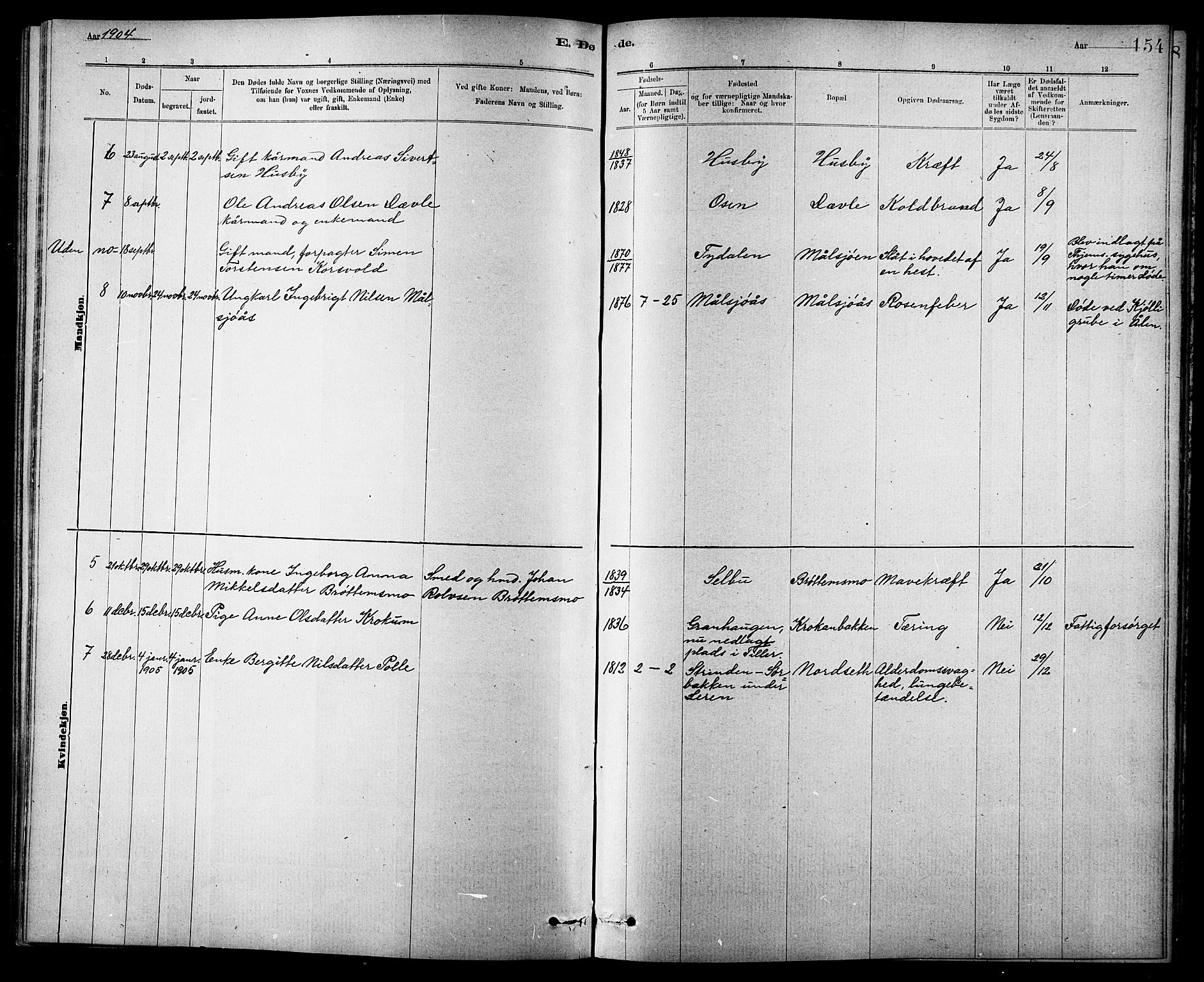 Ministerialprotokoller, klokkerbøker og fødselsregistre - Sør-Trøndelag, AV/SAT-A-1456/618/L0452: Parish register (copy) no. 618C03, 1884-1906, p. 154