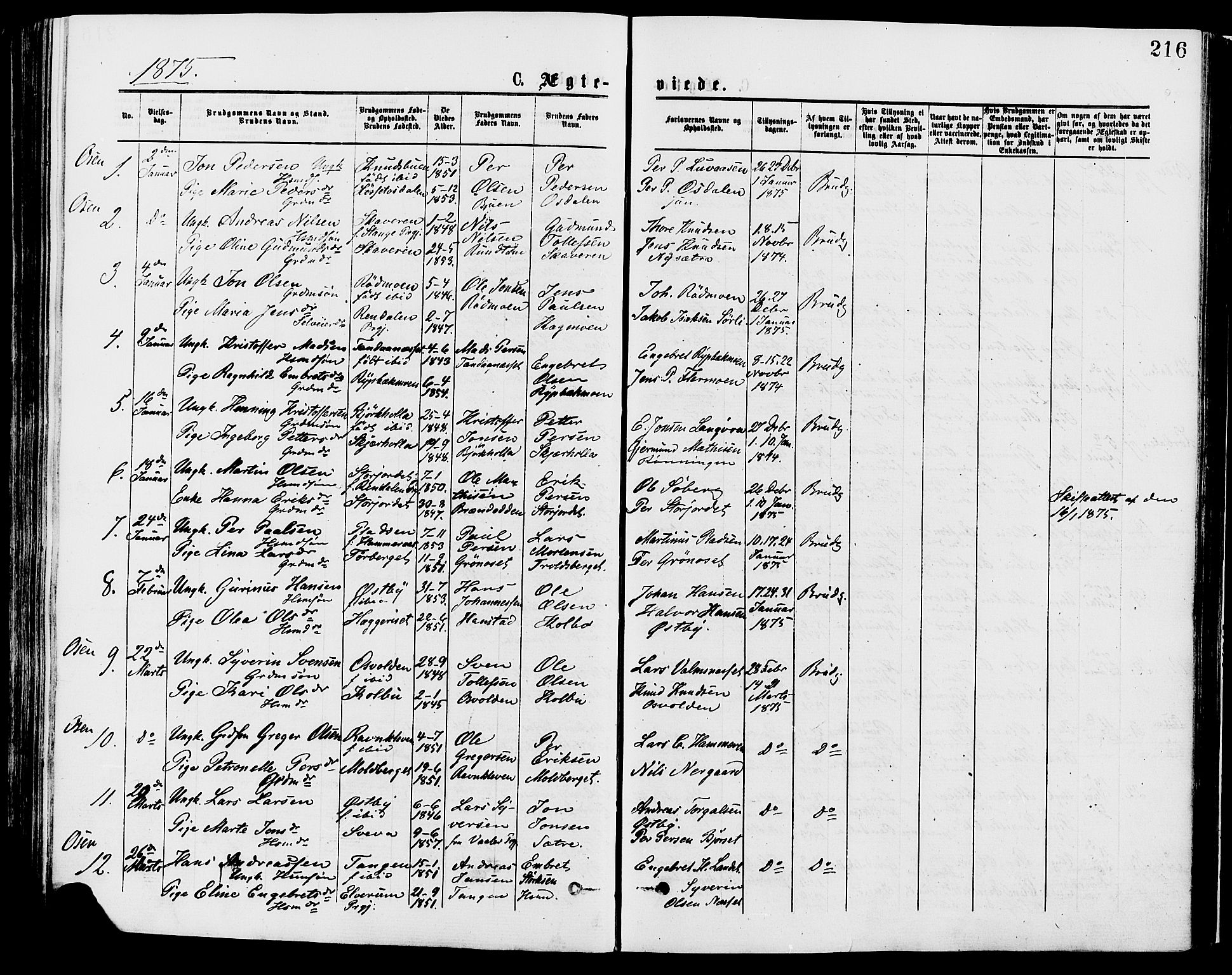 Trysil prestekontor, AV/SAH-PREST-046/H/Ha/Haa/L0007: Parish register (official) no. 7, 1874-1880, p. 216