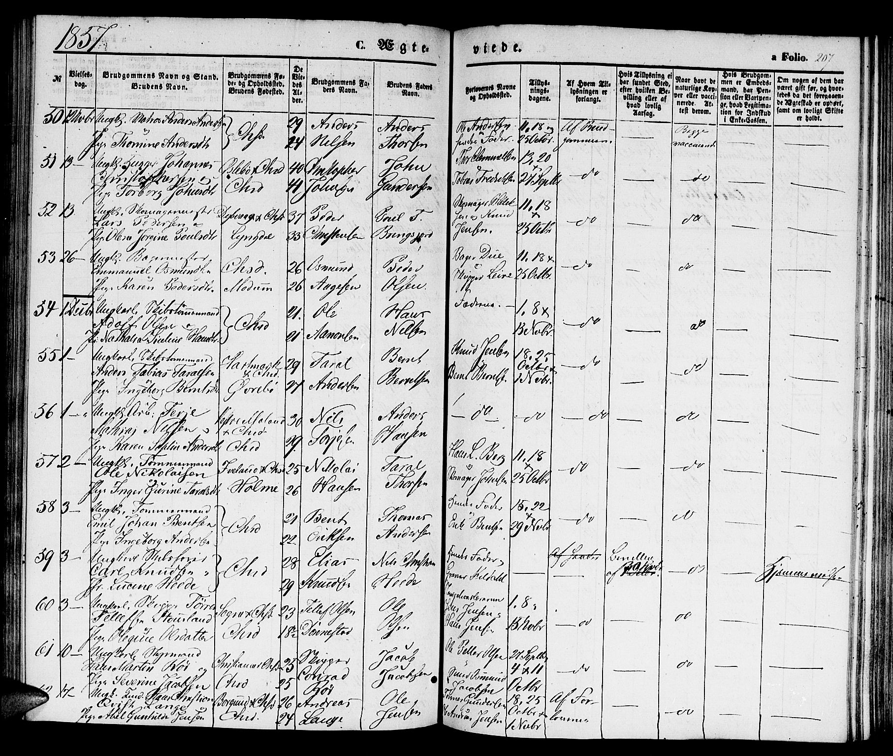 Kristiansand domprosti, SAK/1112-0006/F/Fb/L0011: Parish register (copy) no. B 11, 1851-1861, p. 207