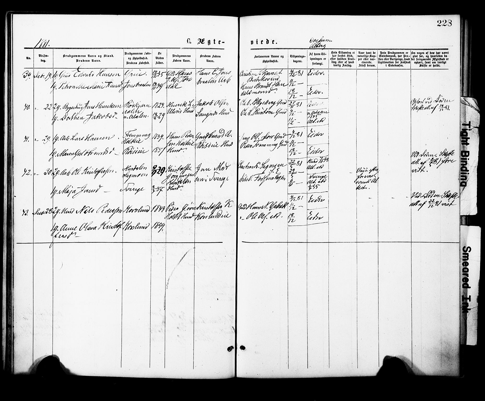Eidsvoll prestekontor Kirkebøker, AV/SAO-A-10888/F/Fa/L0001: Parish register (official) no. I 1, 1877-1881, p. 228
