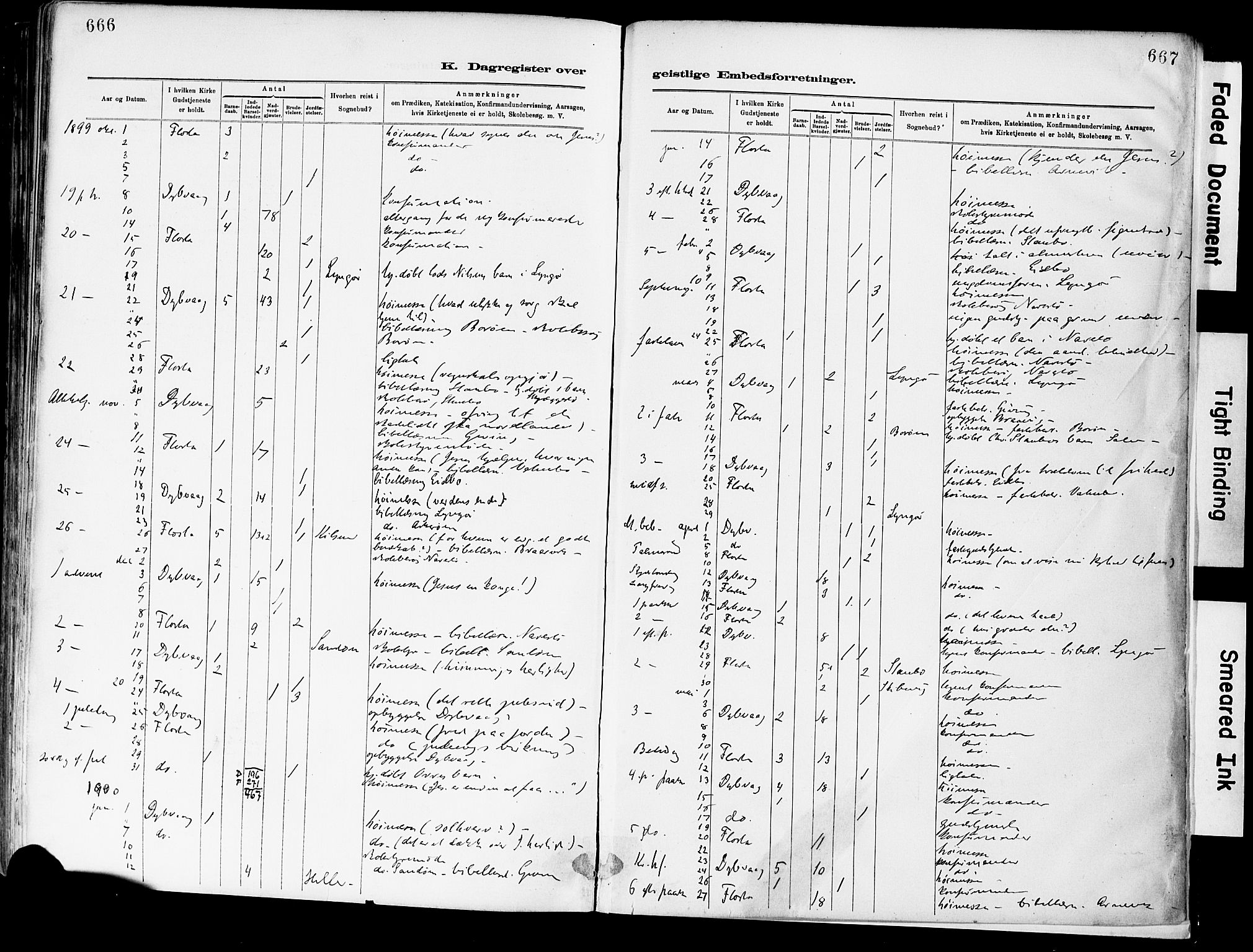 Dypvåg sokneprestkontor, AV/SAK-1111-0007/F/Fa/Fab/L0001: Parish register (official) no. A 1, 1885-1912, p. 666-667