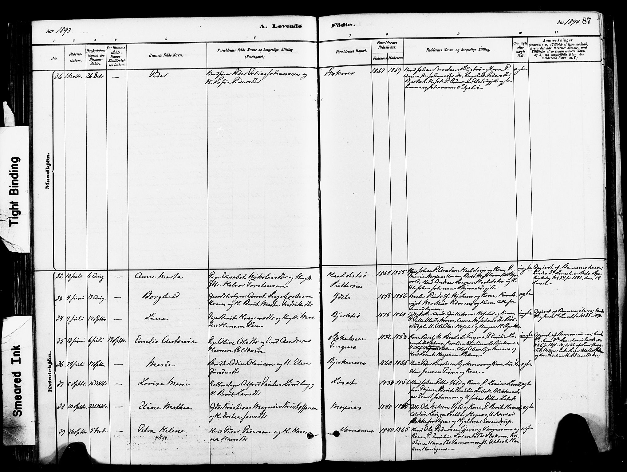 Ministerialprotokoller, klokkerbøker og fødselsregistre - Nord-Trøndelag, SAT/A-1458/709/L0077: Parish register (official) no. 709A17, 1880-1895, p. 87