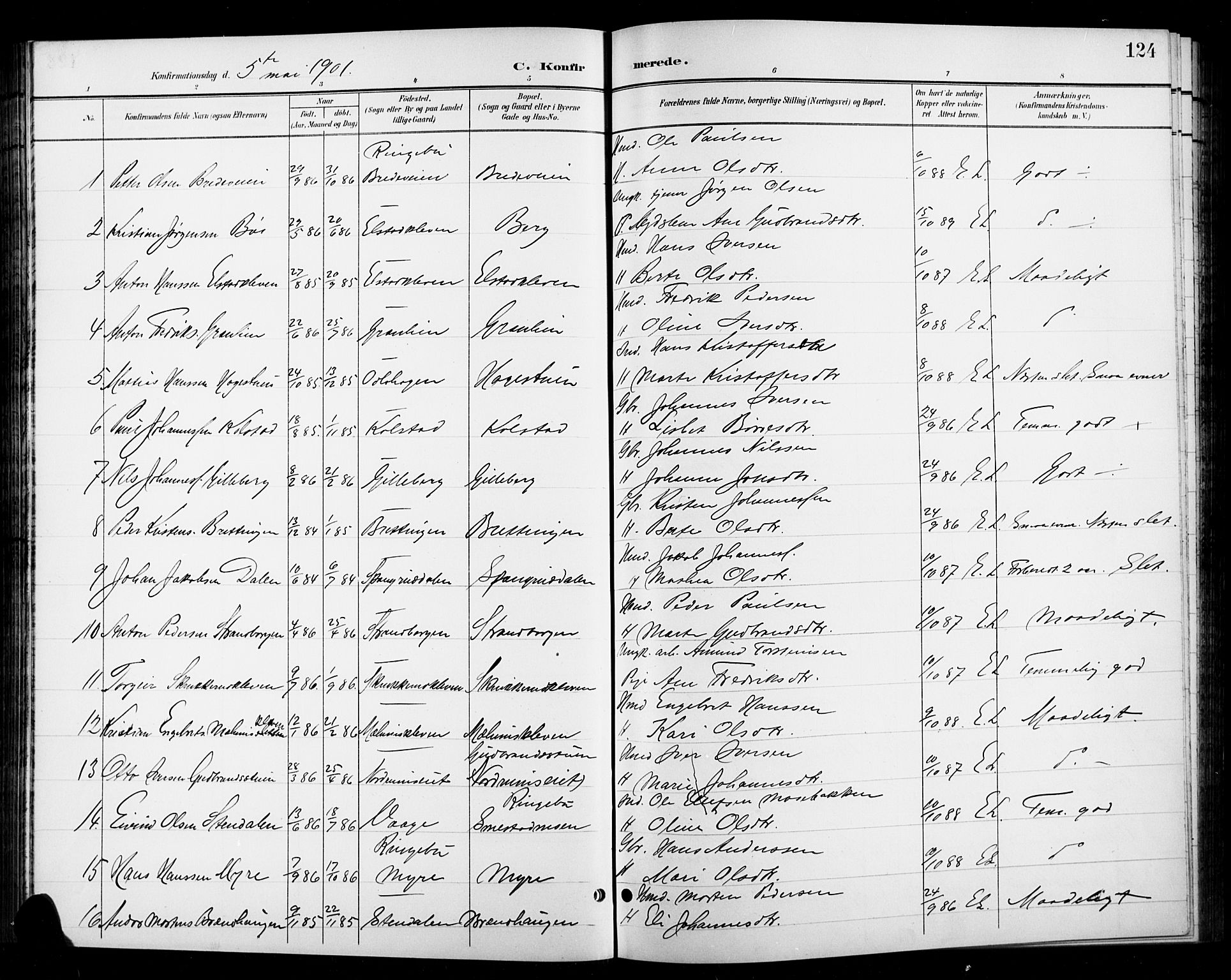 Ringebu prestekontor, SAH/PREST-082/H/Ha/Hab/L0009: Parish register (copy) no. 9, 1899-1921, p. 124