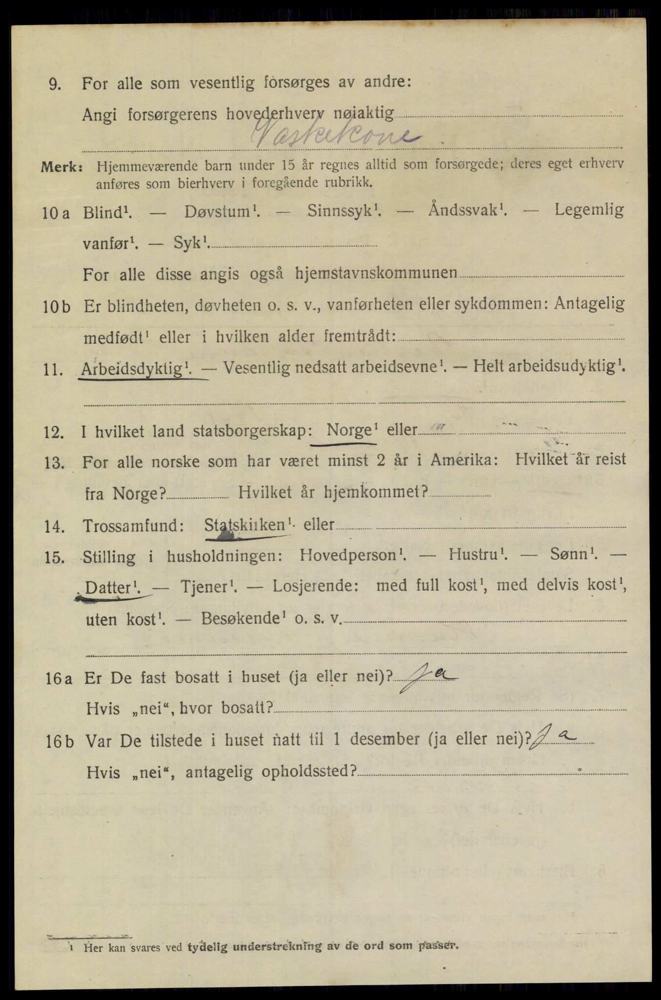 SAKO, 1920 census for Brevik, 1920, p. 3873