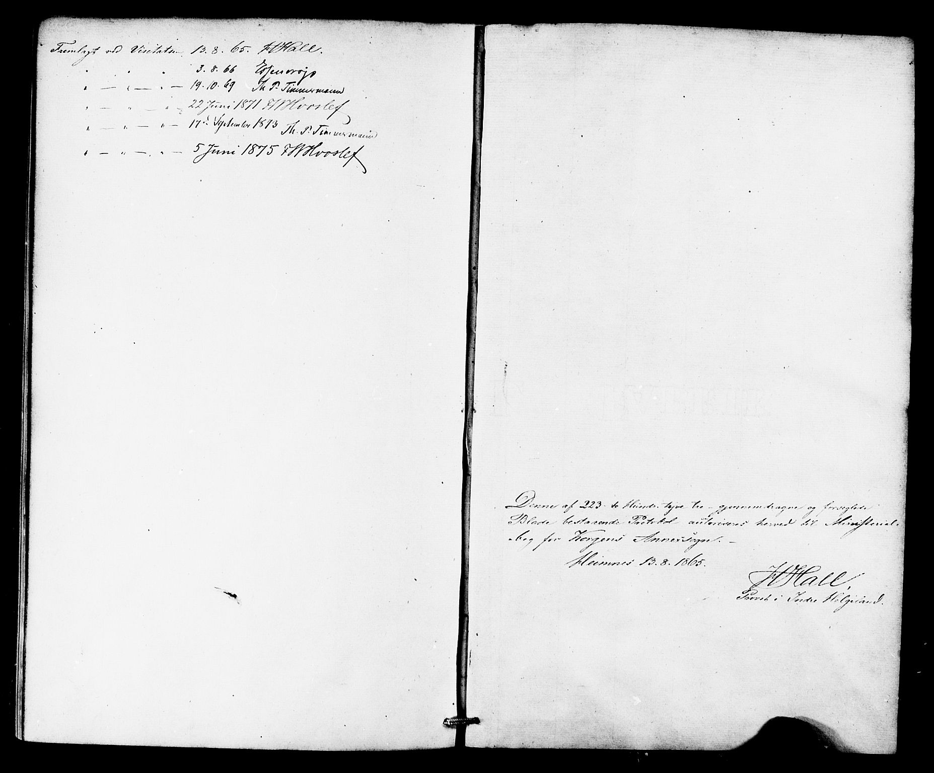 Ministerialprotokoller, klokkerbøker og fødselsregistre - Nordland, AV/SAT-A-1459/826/L0378: Parish register (official) no. 826A01, 1865-1878