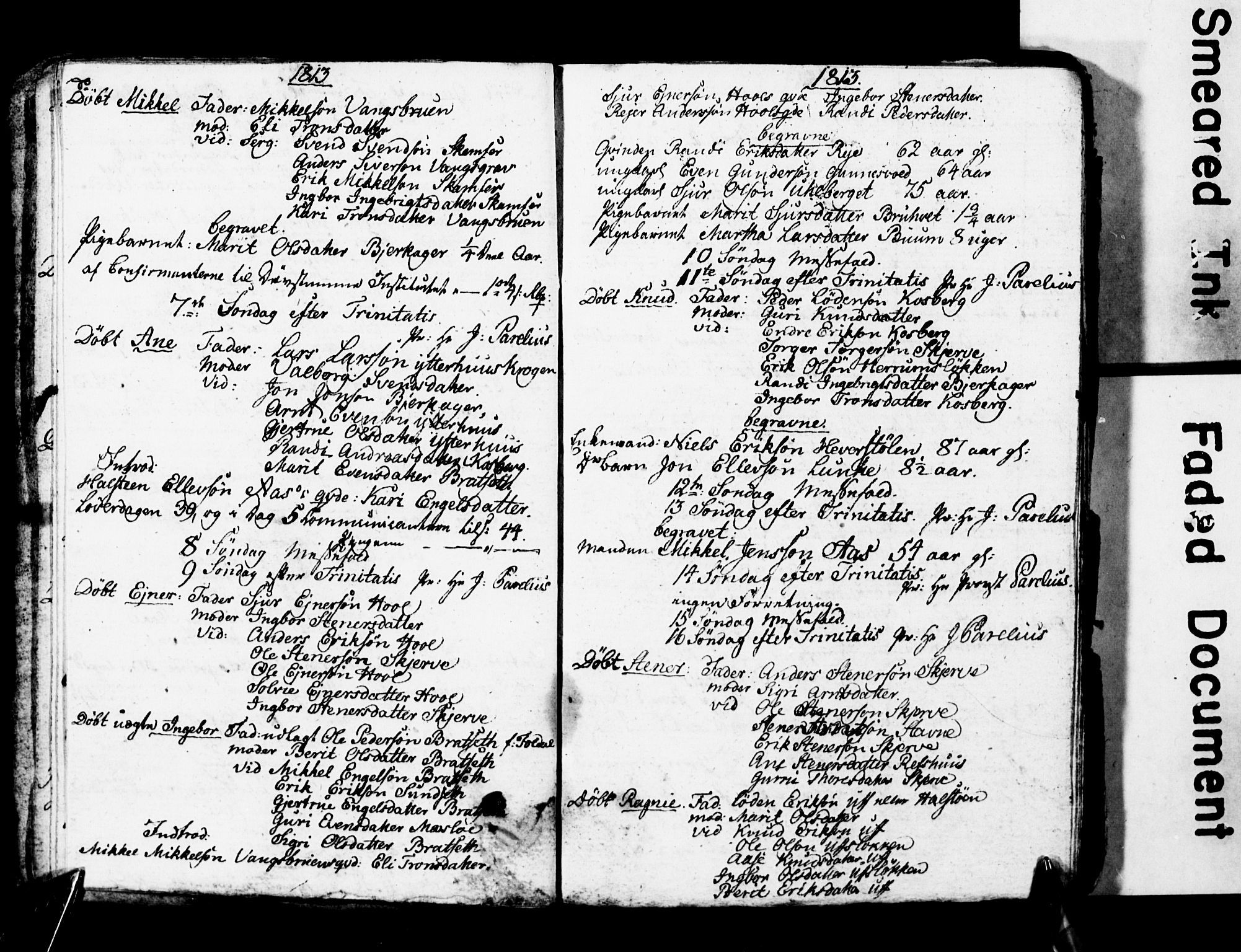 Ministerialprotokoller, klokkerbøker og fødselsregistre - Sør-Trøndelag, AV/SAT-A-1456/674/L0881: Parish register (copy) no. 674C08, 1813-1818