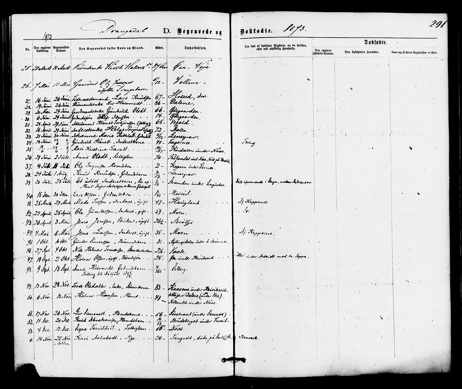 Drangedal kirkebøker, SAKO/A-258/F/Fa/L0009: Parish register (official) no. 9 /1, 1872-1884, p. 291