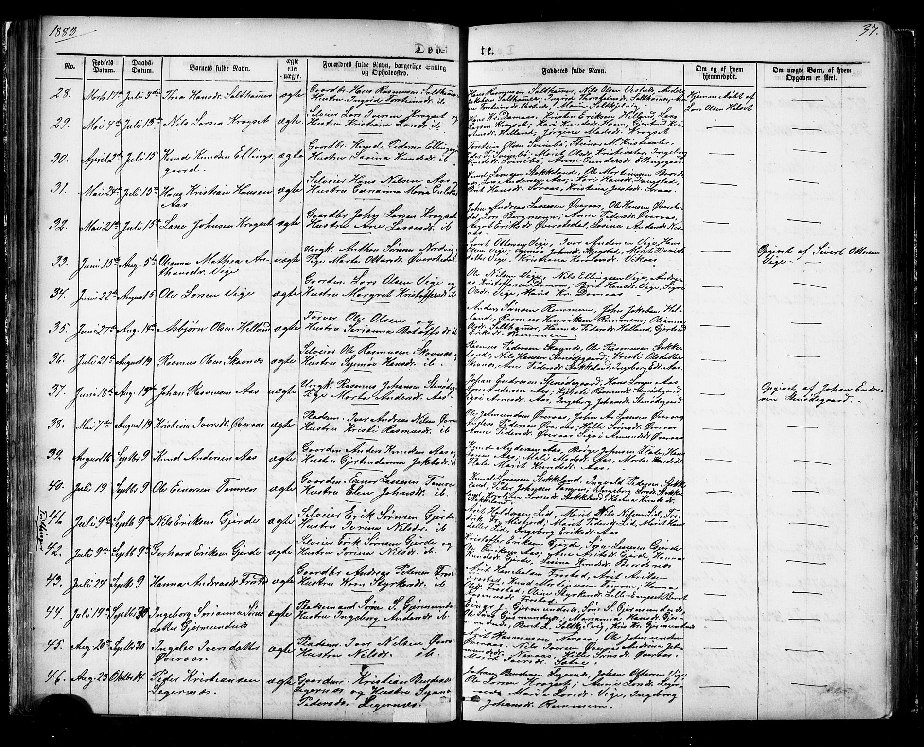 Ministerialprotokoller, klokkerbøker og fødselsregistre - Møre og Romsdal, SAT/A-1454/539/L0536: Parish register (copy) no. 539C02, 1867-1913, p. 37