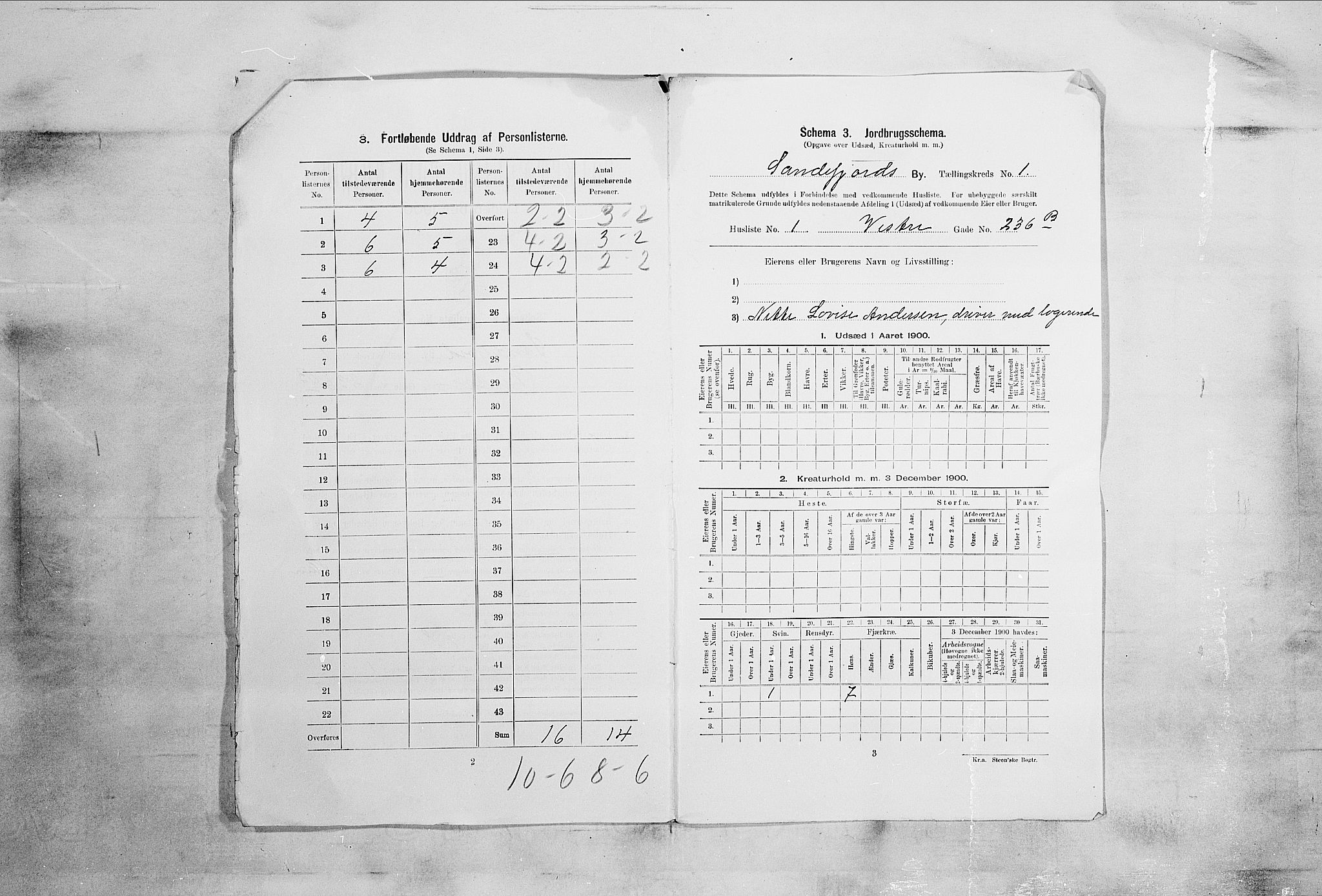 RA, 1900 census for Sandefjord, 1900, p. 29