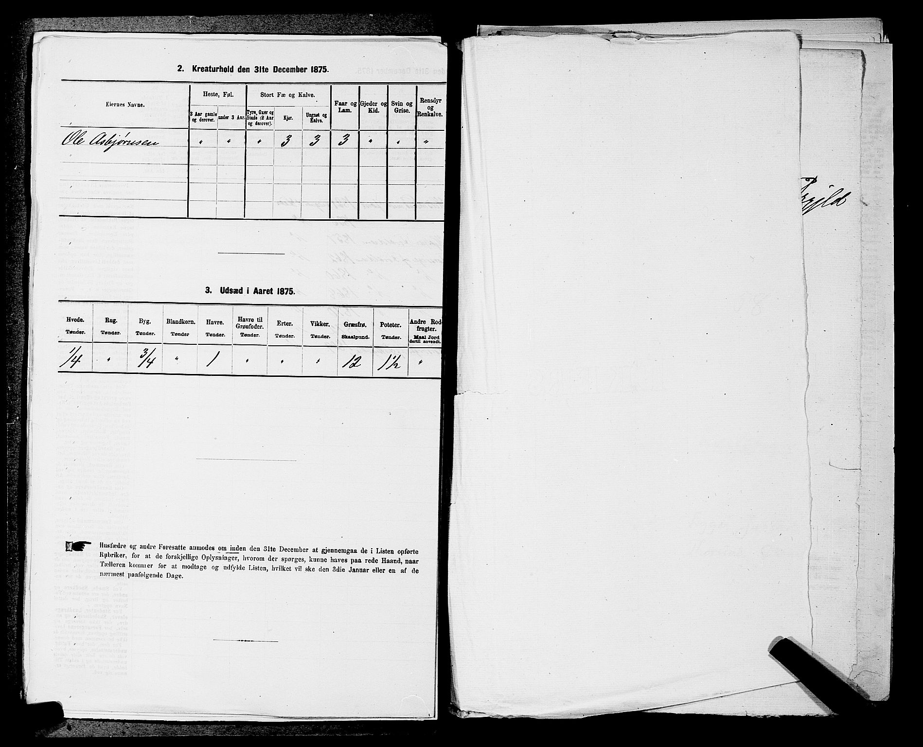 SAKO, 1875 census for 0626P Lier, 1875, p. 815