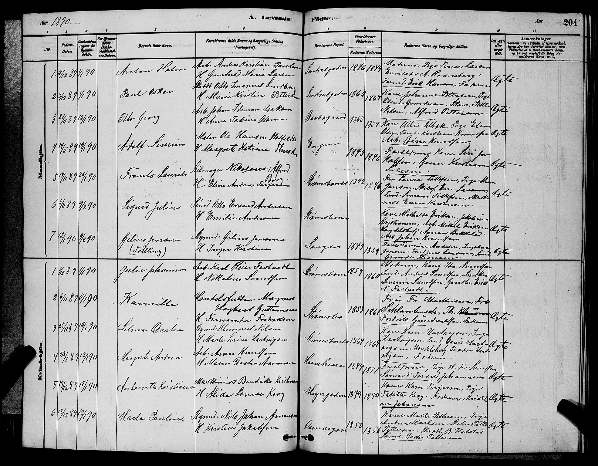 Barbu sokneprestkontor, AV/SAK-1111-0003/F/Fb/L0001: Parish register (copy) no. B 1, 1878-1890, p. 204