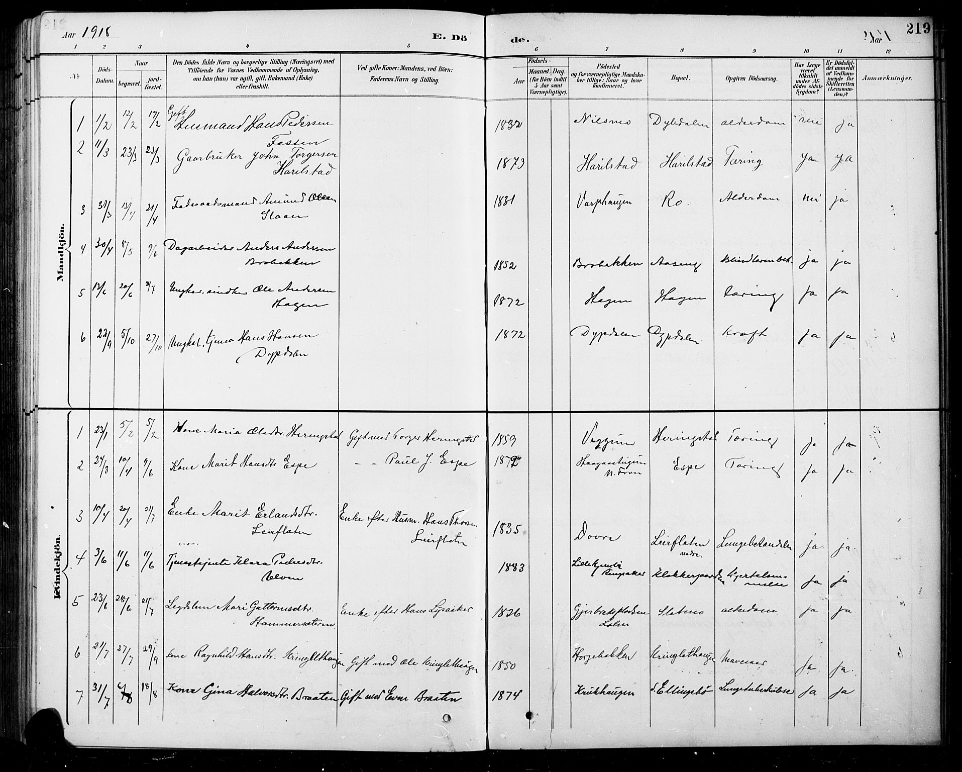 Sel prestekontor, SAH/PREST-074/H/Ha/Hab/L0005: Parish register (copy) no. 5, 1894-1923, p. 219