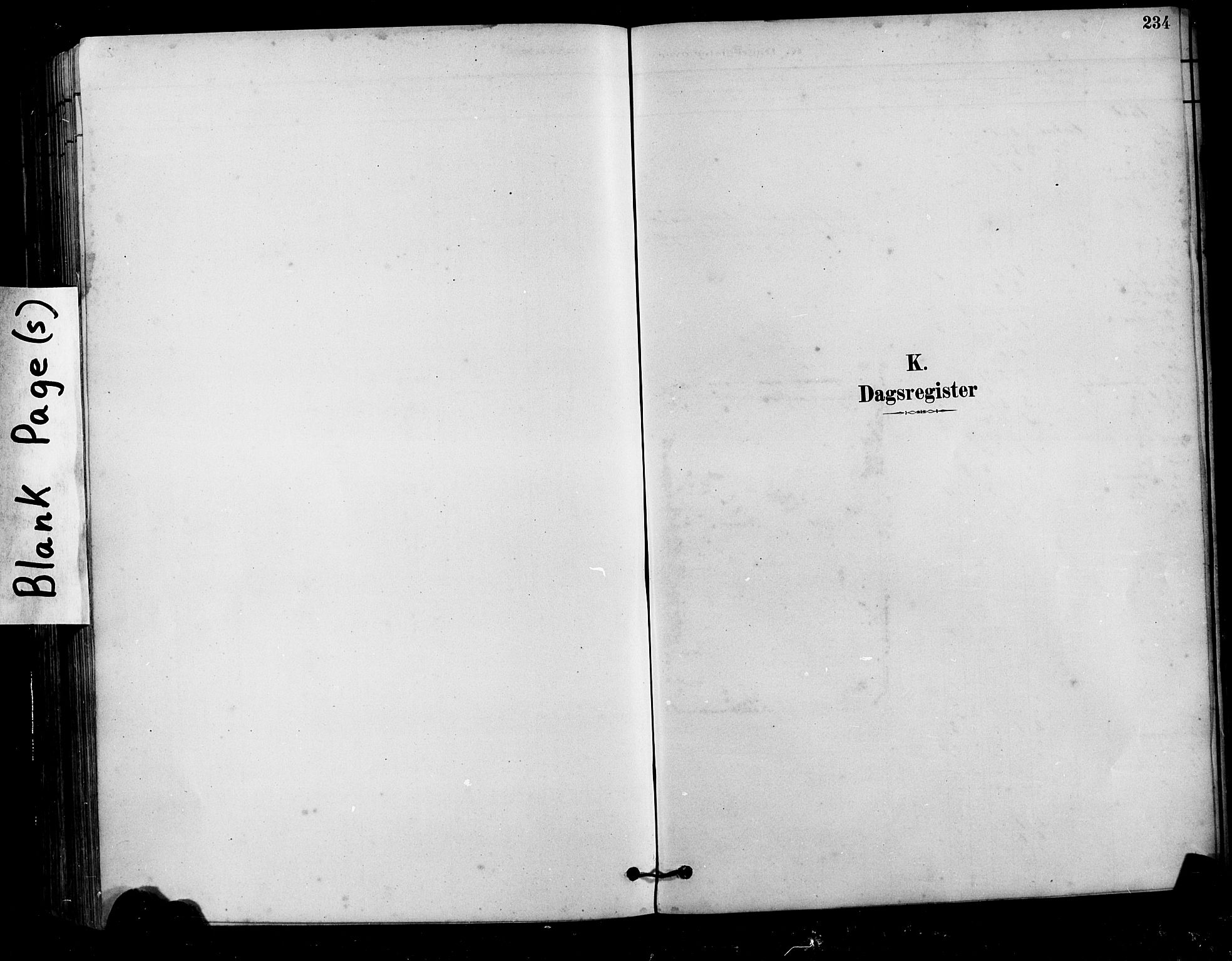 Ministerialprotokoller, klokkerbøker og fødselsregistre - Møre og Romsdal, AV/SAT-A-1454/525/L0376: Parish register (copy) no. 525C02, 1880-1902, p. 234