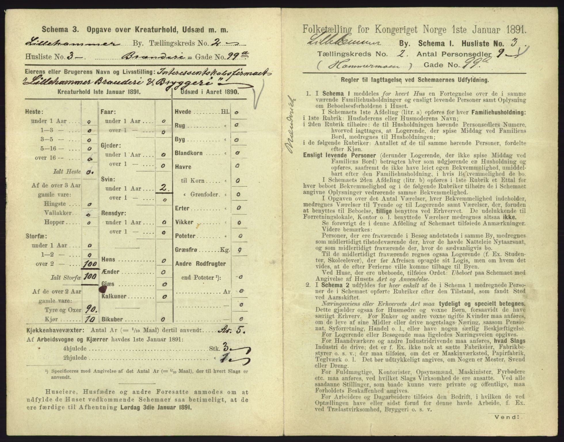 RA, 1891 census for 0501 Lillehammer, 1891, p. 215