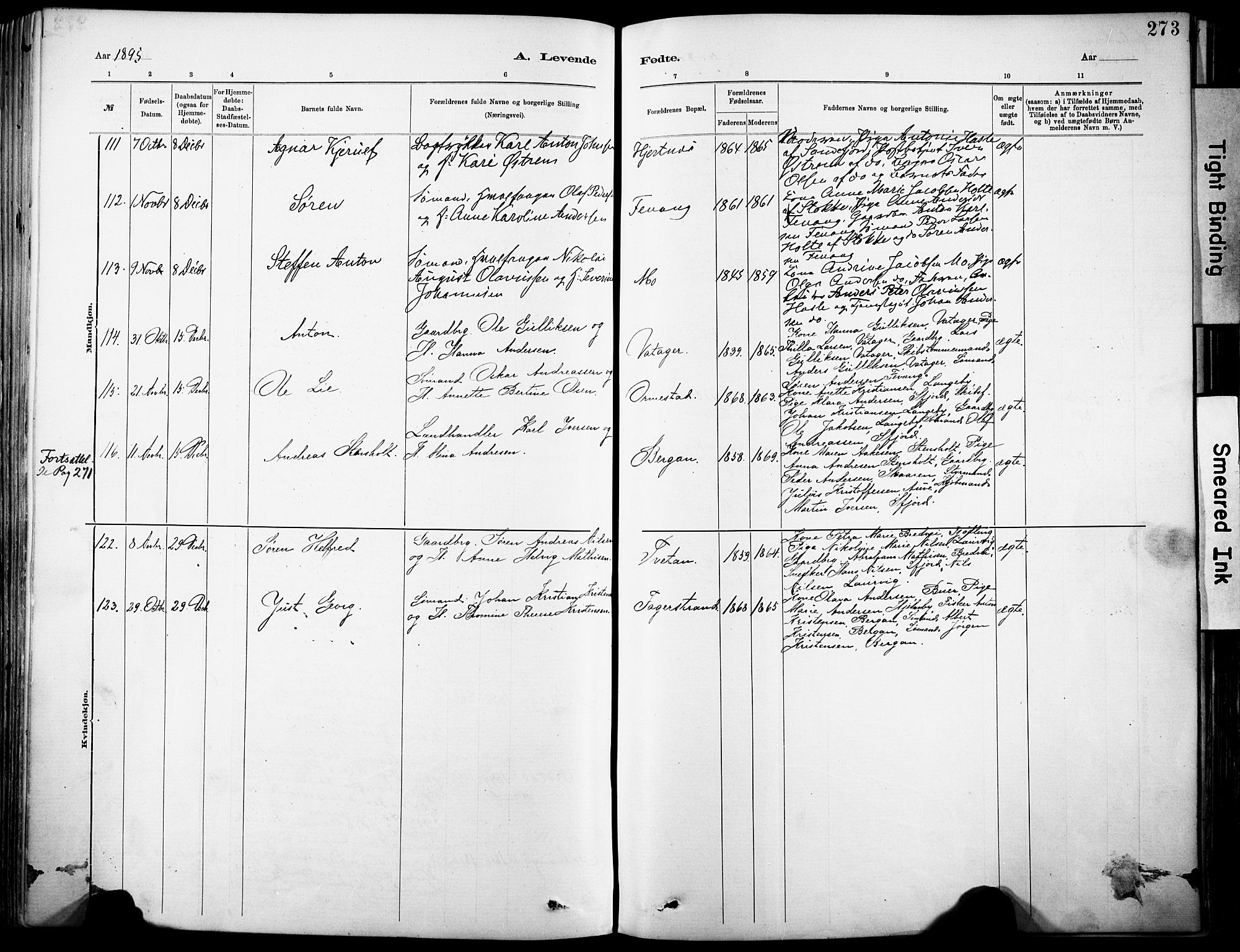 Sandar kirkebøker, SAKO/A-243/F/Fa/L0012: Parish register (official) no. 12, 1883-1895, p. 273