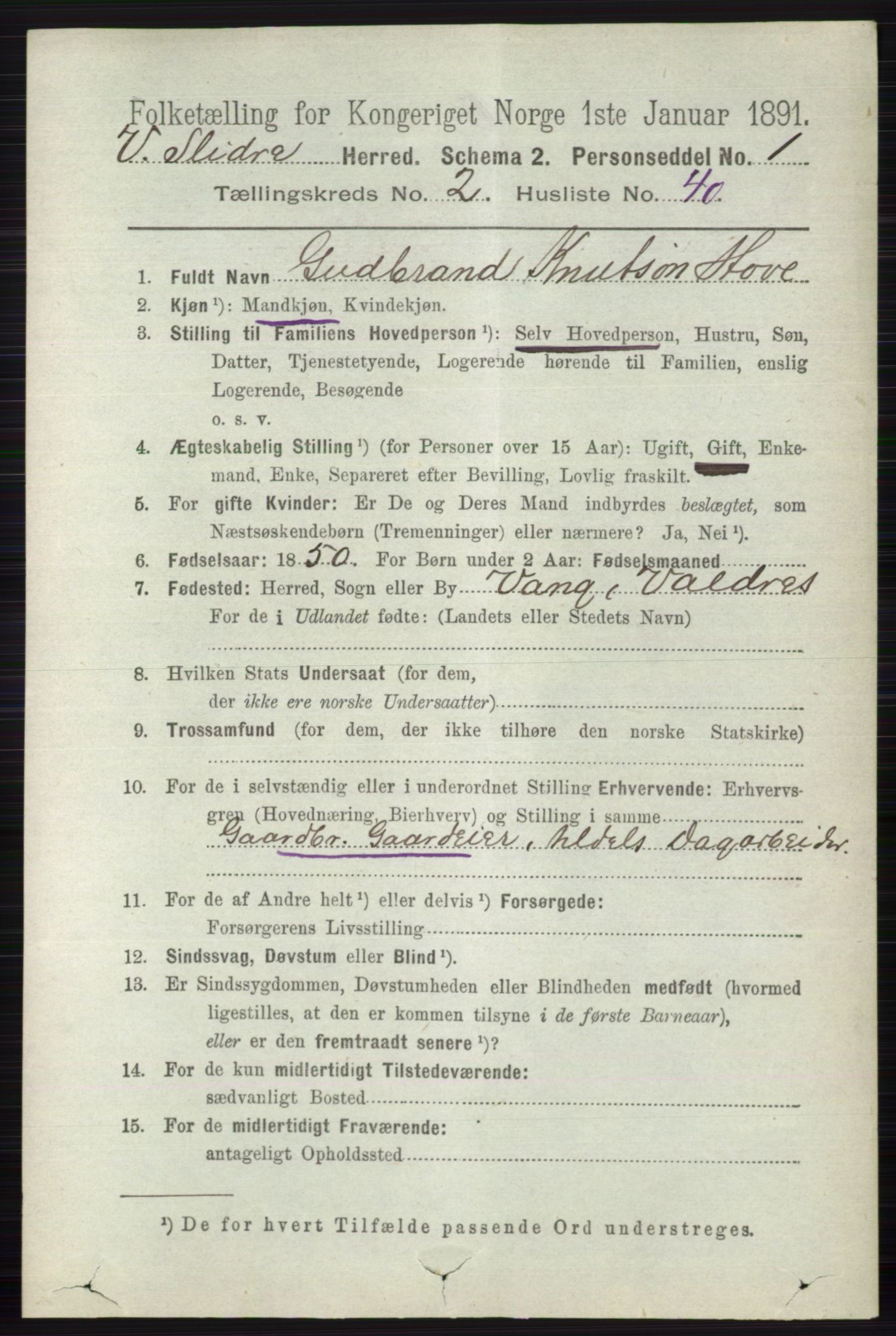 RA, 1891 census for 0543 Vestre Slidre, 1891, p. 753