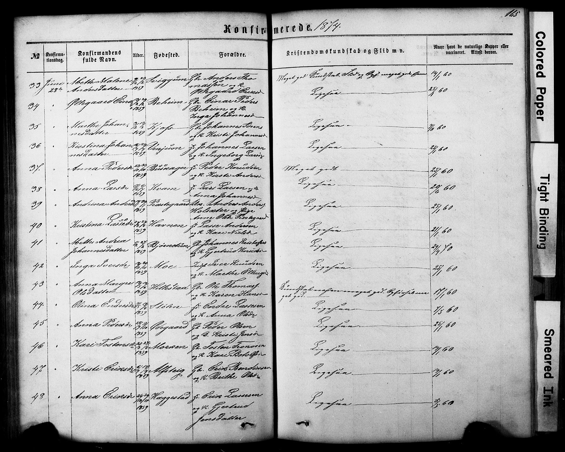 Hafslo sokneprestembete, AV/SAB-A-80301/H/Hab/Haba/L0001: Parish register (copy) no. A 1, 1866-1908, p. 165