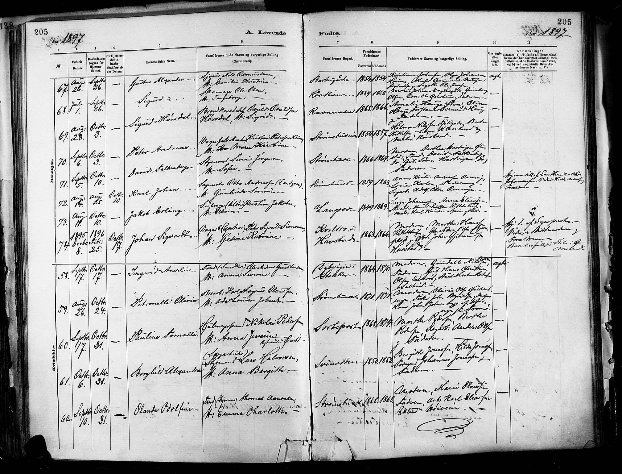 Barbu sokneprestkontor, SAK/1111-0003/F/Fa/L0002: Parish register (official) no. A 2, 1883-1898, p. 205