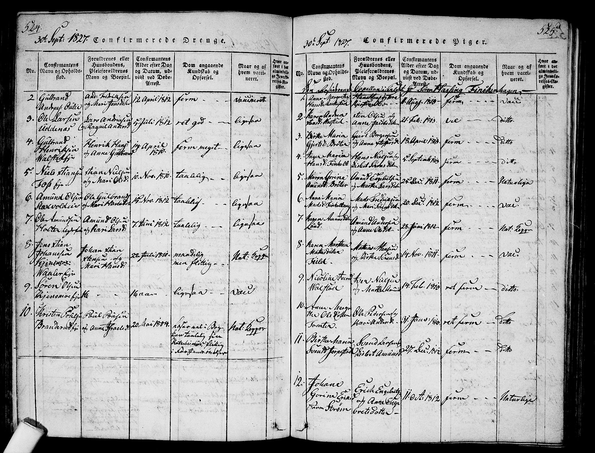 Nes prestekontor Kirkebøker, AV/SAO-A-10410/G/Ga/L0001: Parish register (copy) no. I 1, 1815-1835, p. 524-525