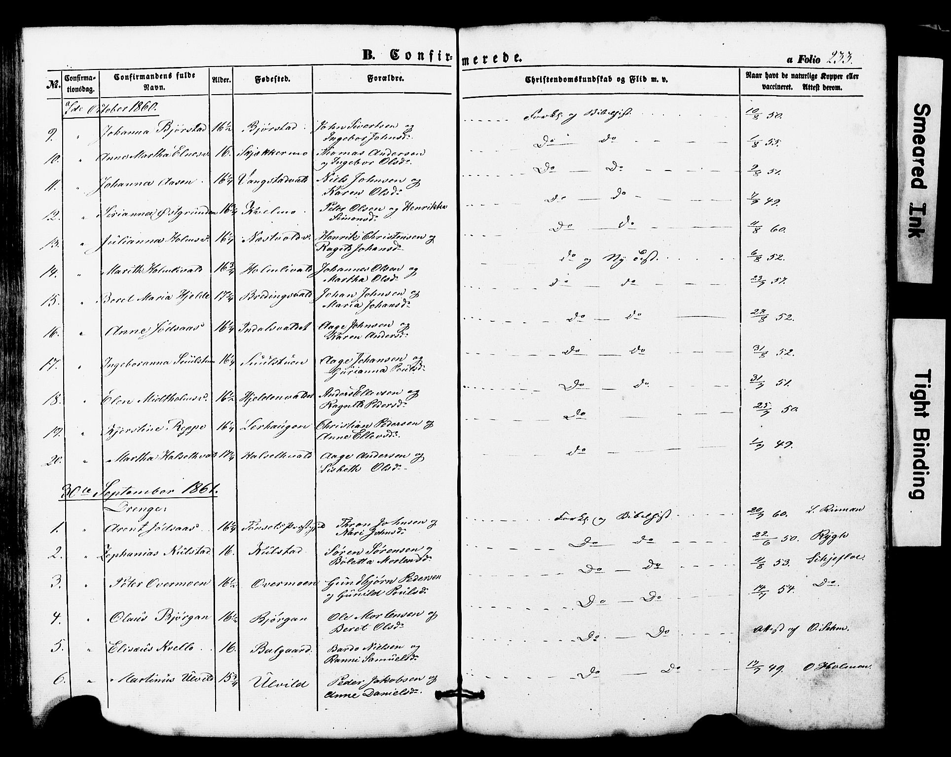 Ministerialprotokoller, klokkerbøker og fødselsregistre - Nord-Trøndelag, SAT/A-1458/724/L0268: Parish register (copy) no. 724C04, 1846-1878, p. 233