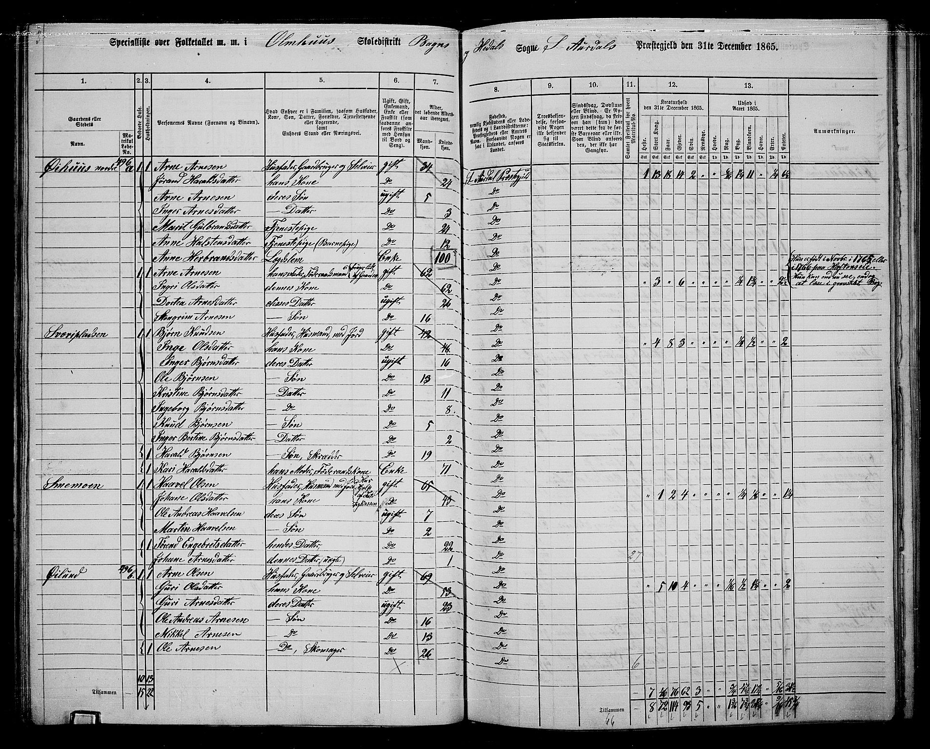 RA, 1865 census for Sør-Aurdal, 1865, p. 101