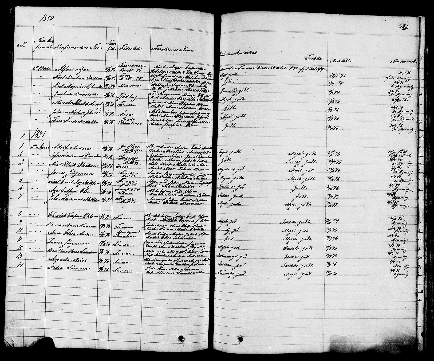 Stavern kirkebøker, AV/SAKO-A-318/G/Ga/L0002: Parish register (copy) no. 2, 1839-1909, p. 225