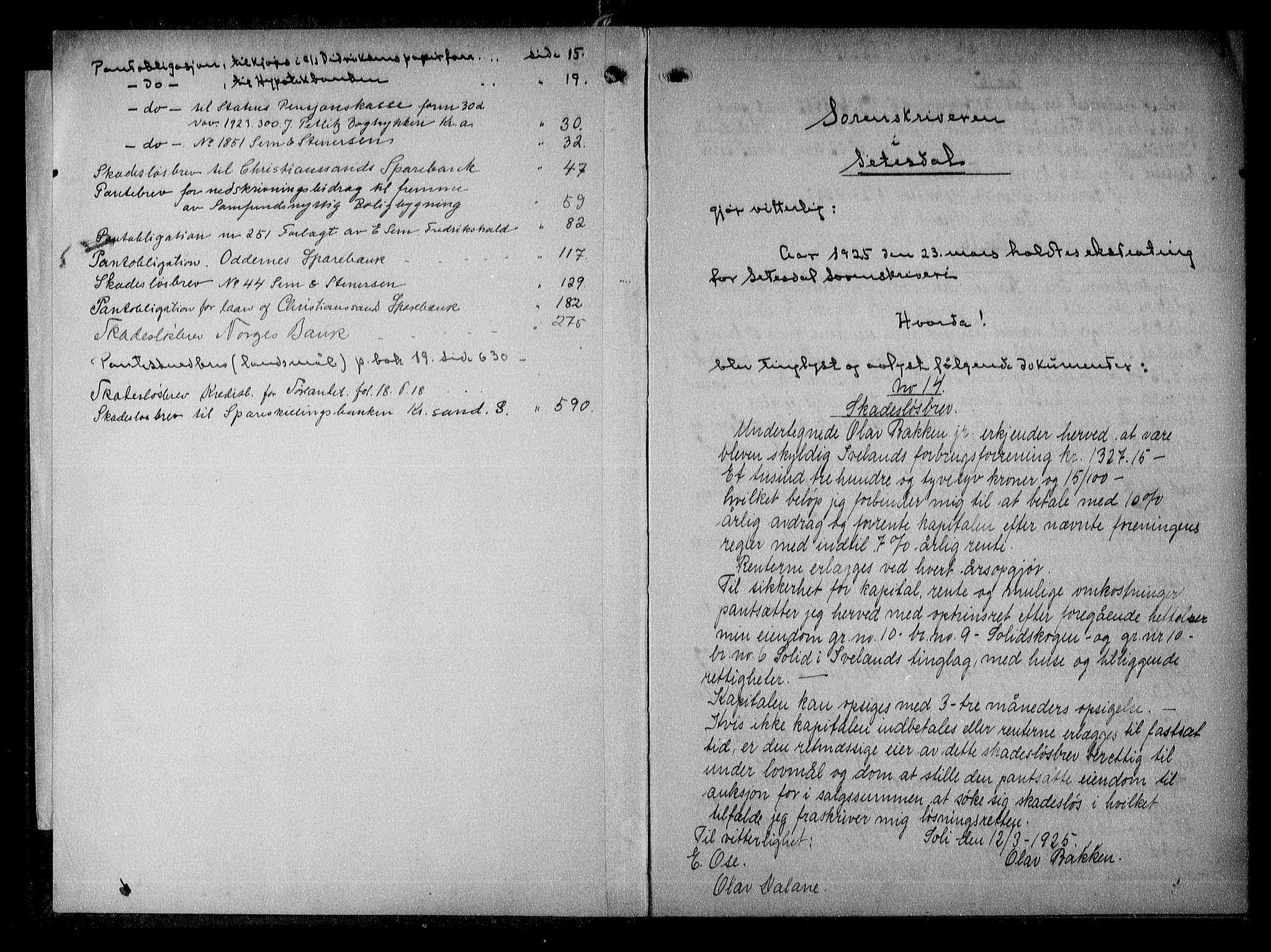 Setesdal sorenskriveri, SAK/1221-0011/G/Gb/L0021: Mortgage book no. 20, 1925-1929, p. 0-1