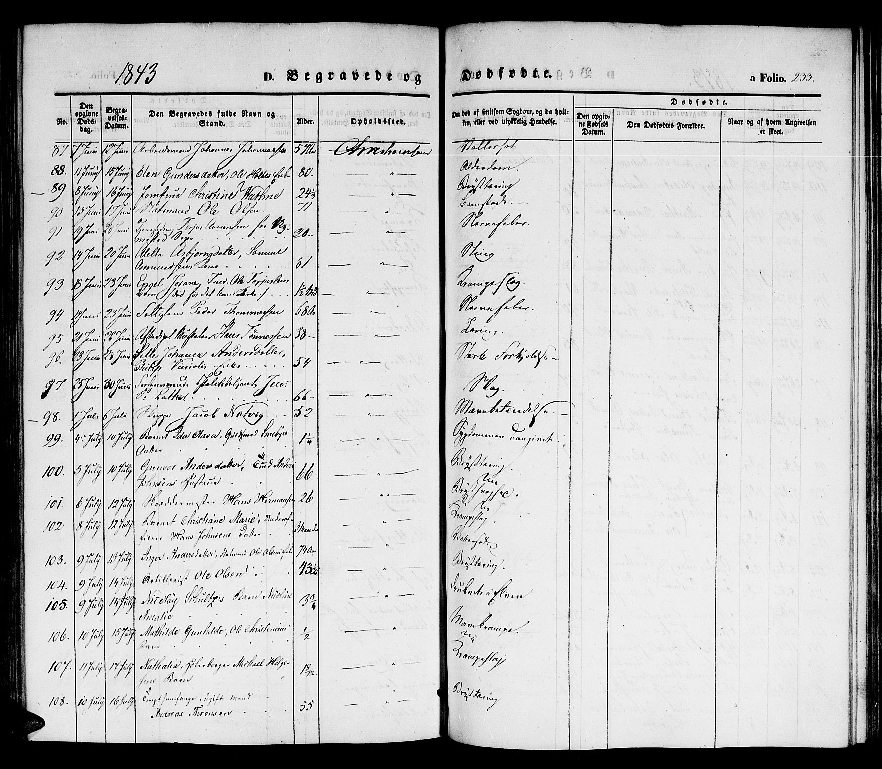 Kristiansand domprosti, SAK/1112-0006/F/Fb/L0010: Parish register (copy) no. B 10, 1843-1850, p. 233
