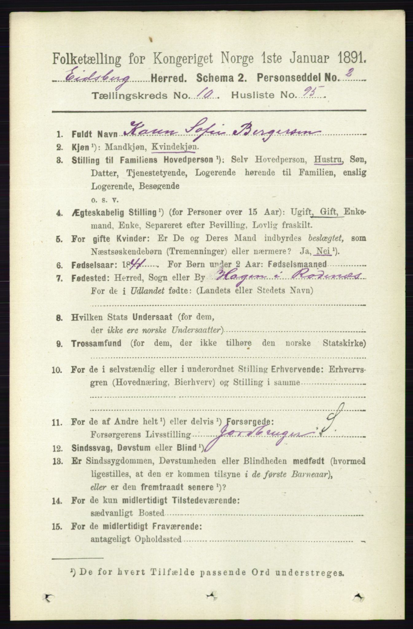 RA, 1891 census for 0125 Eidsberg, 1891, p. 6163