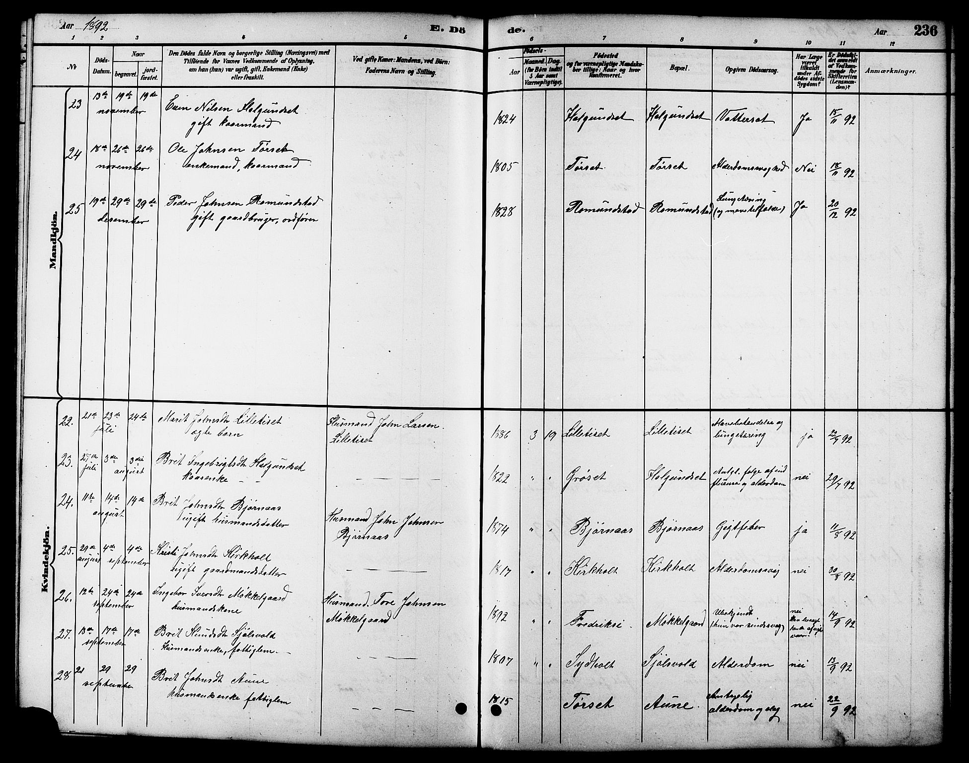 Ministerialprotokoller, klokkerbøker og fødselsregistre - Møre og Romsdal, AV/SAT-A-1454/598/L1078: Parish register (copy) no. 598C03, 1892-1909, p. 236