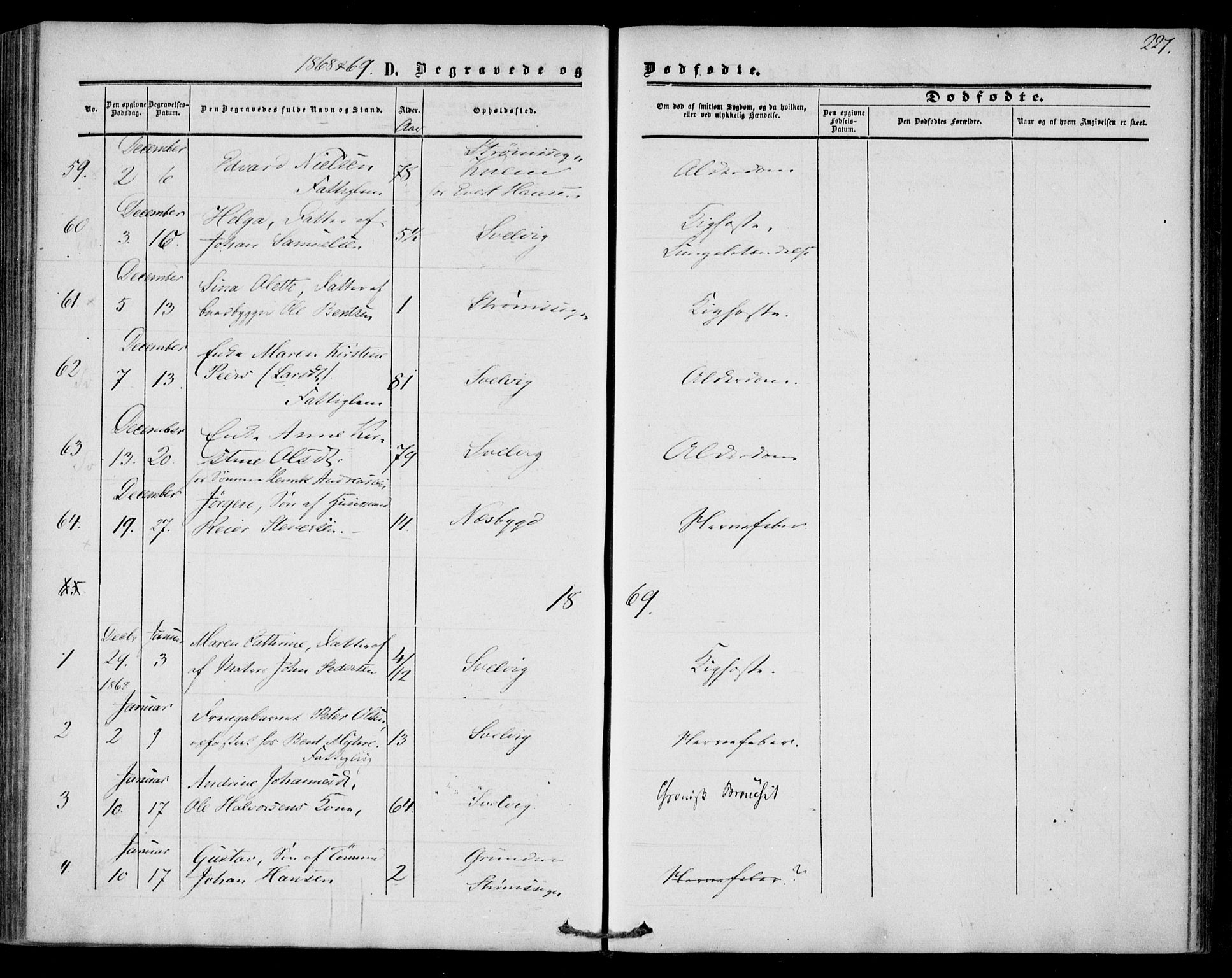 Strømm kirkebøker, AV/SAKO-A-322/F/Fa/L0001: Parish register (official) no. I 1, 1861-1869, p. 227