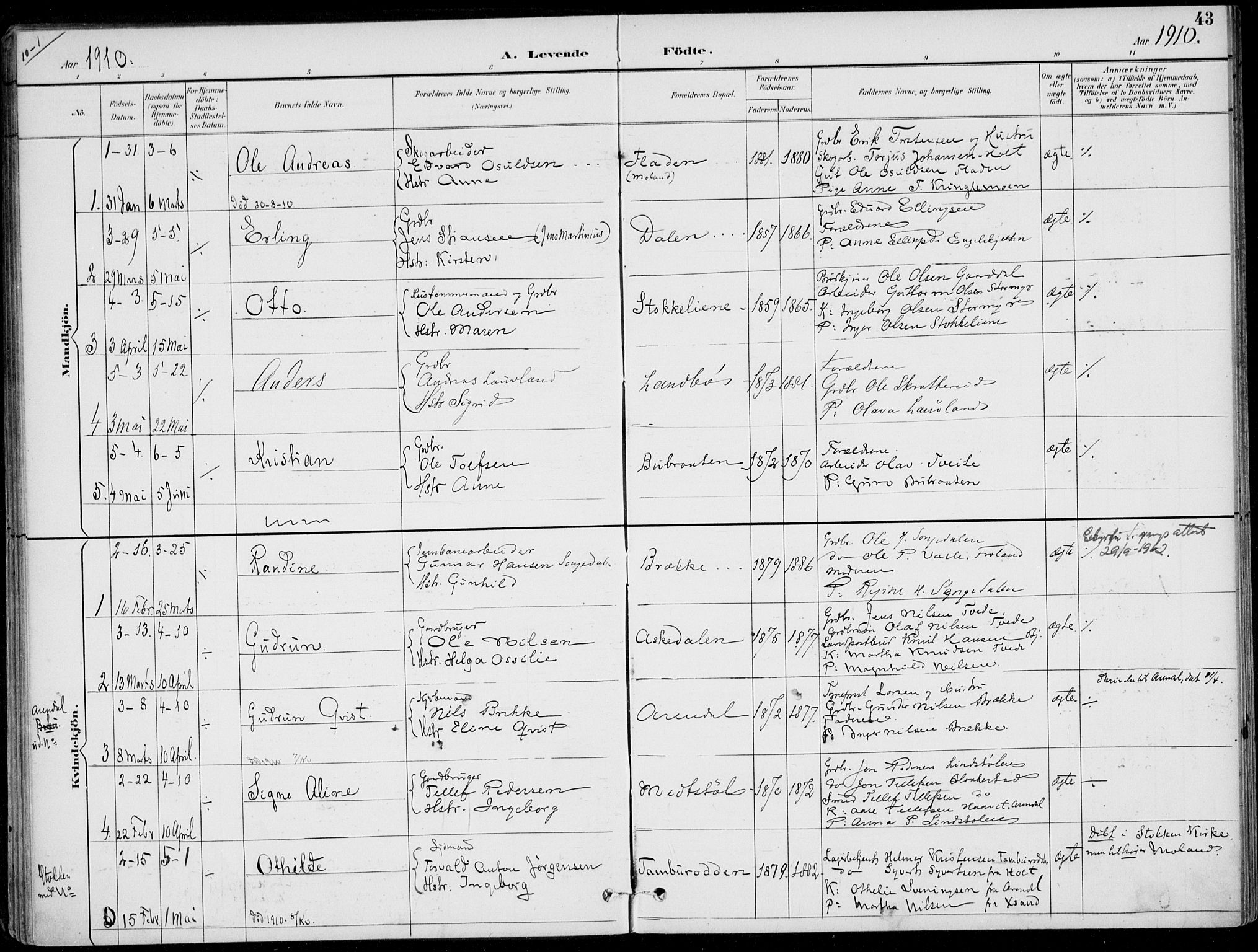 Austre Moland sokneprestkontor, AV/SAK-1111-0001/F/Fa/Faa/L0011: Parish register (official) no. A 11, 1894-1915, p. 43