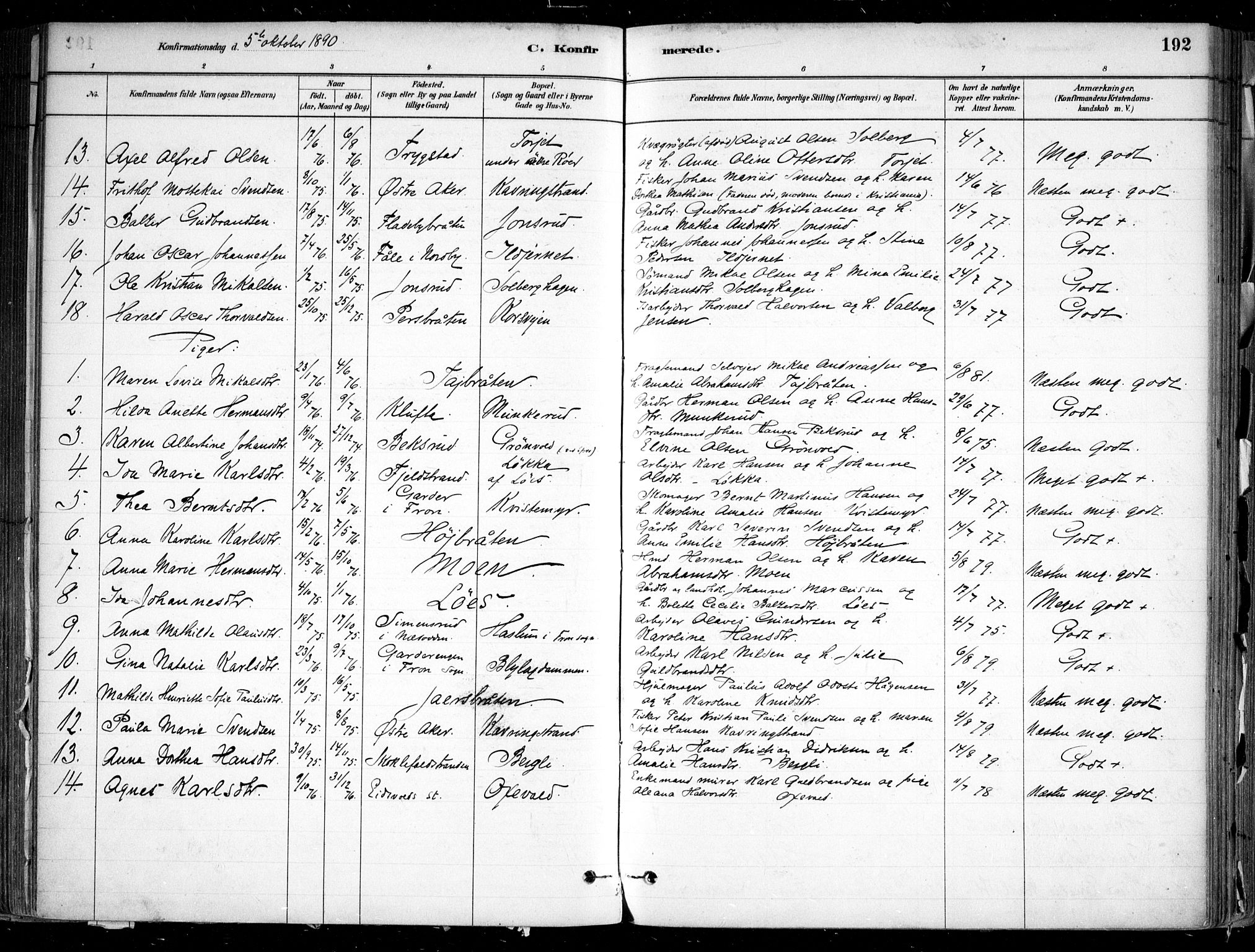 Nesodden prestekontor Kirkebøker, SAO/A-10013/F/Fa/L0009: Parish register (official) no. I 9, 1880-1915, p. 192