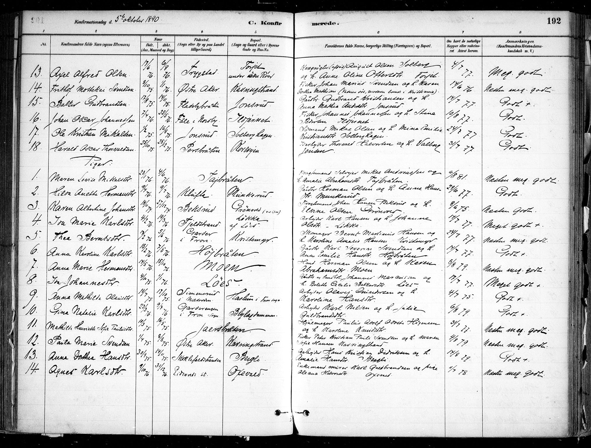 Nesodden prestekontor Kirkebøker, AV/SAO-A-10013/F/Fa/L0009: Parish register (official) no. I 9, 1880-1915, p. 192